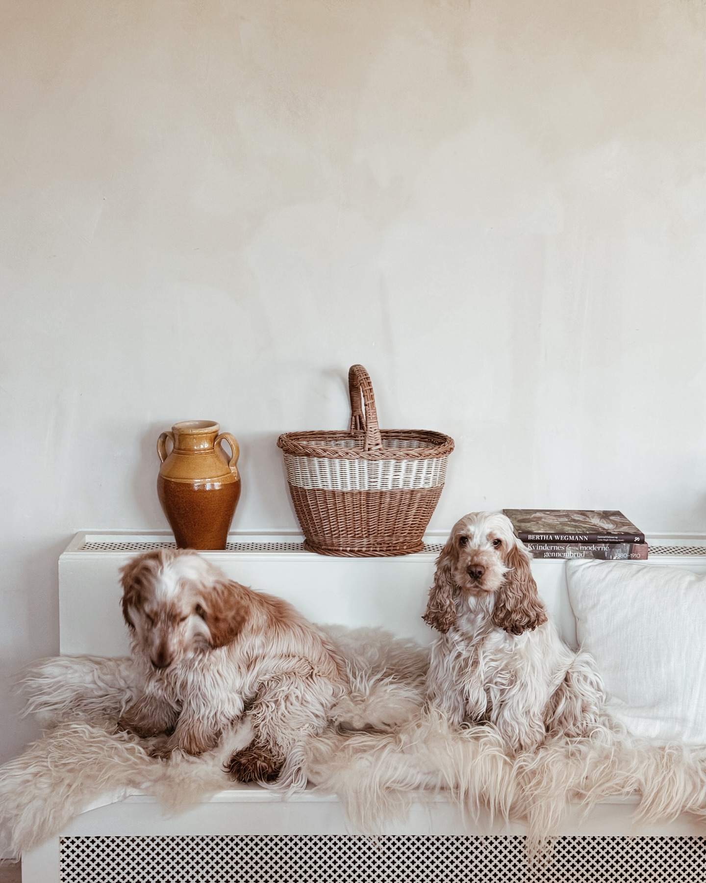 Two Cocker Spaniels on a Bench