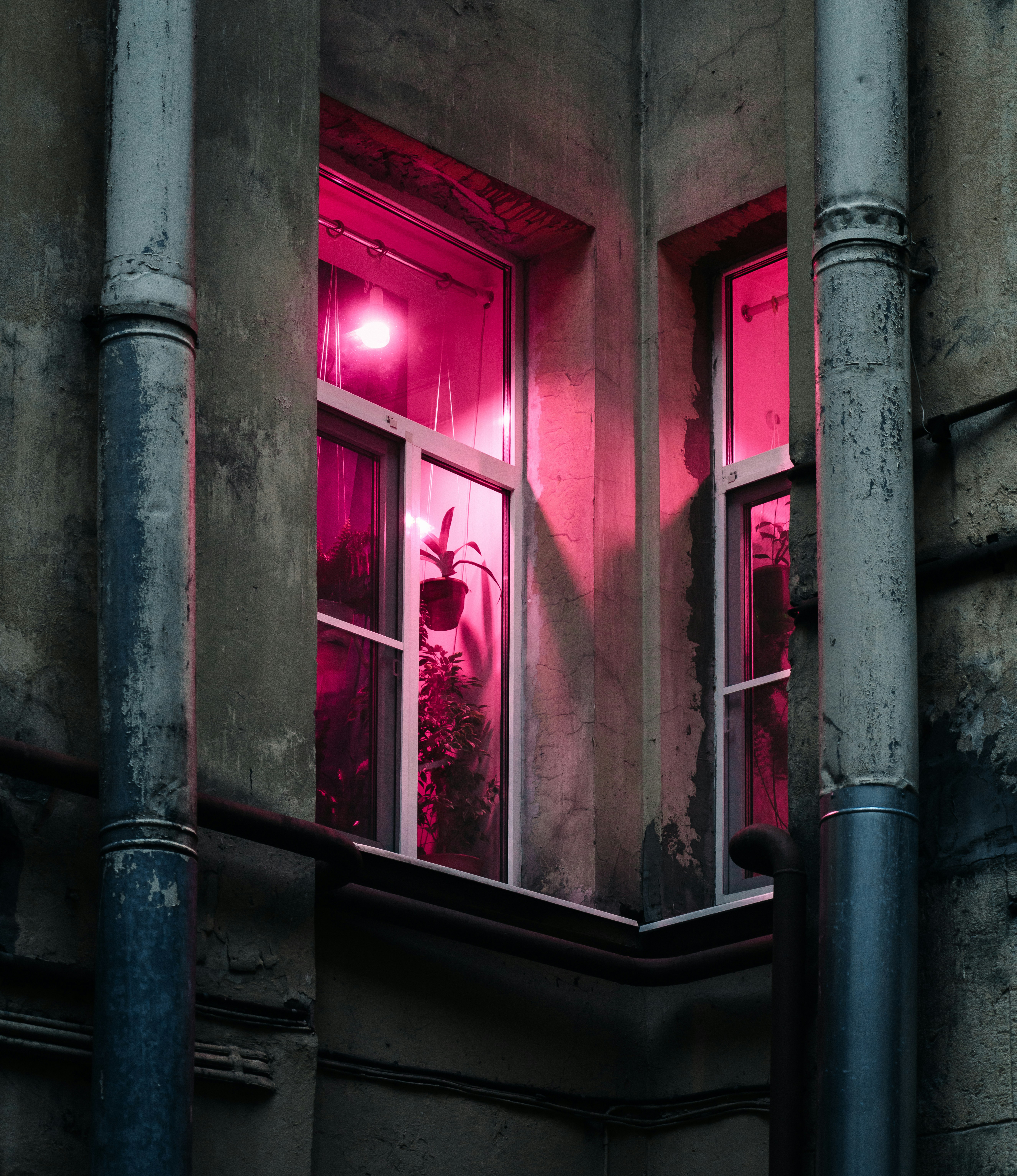 Pink Lit Windows on Old Building — 4K Wallpapers