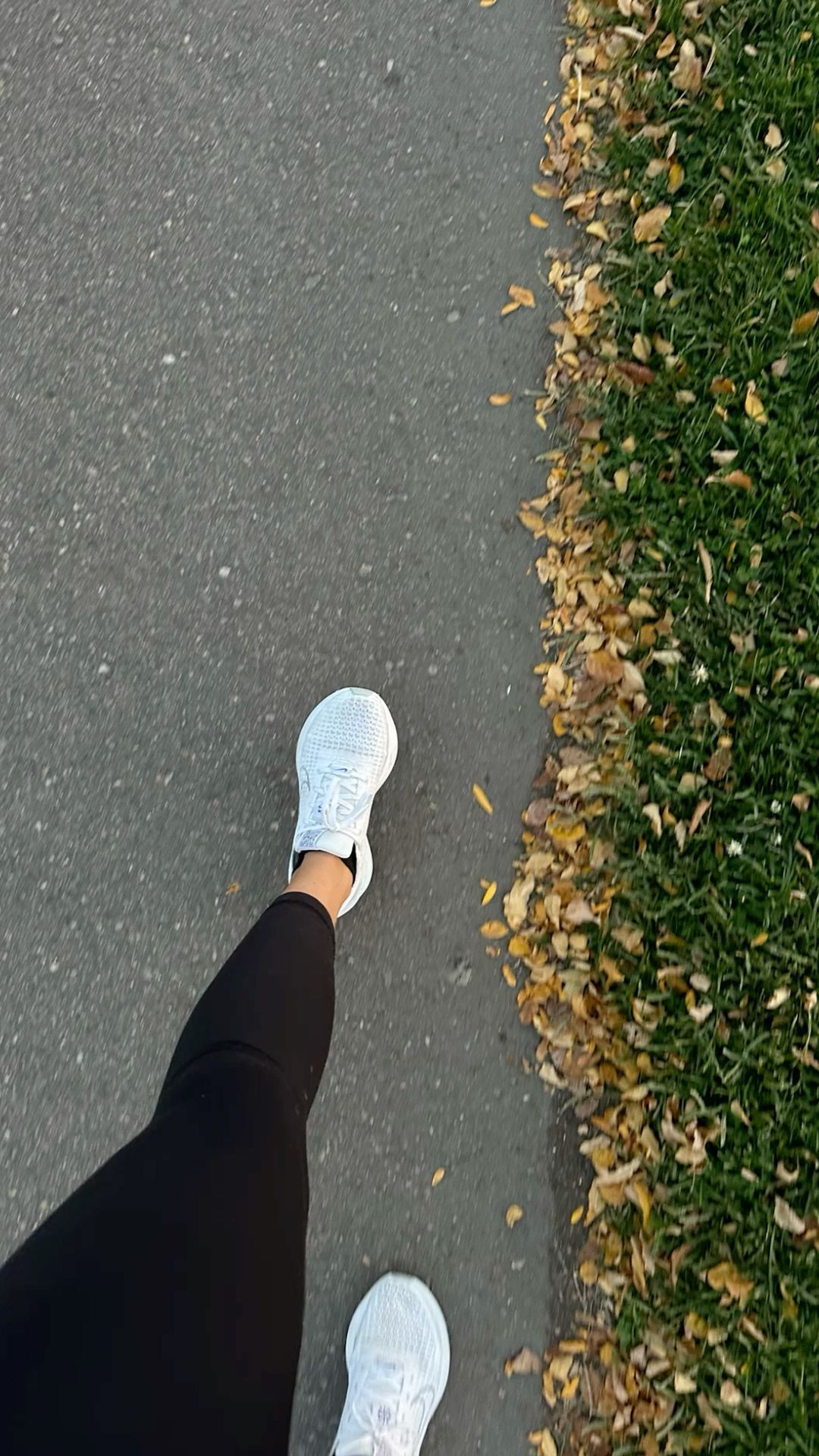 First Person View of Autumn Walk