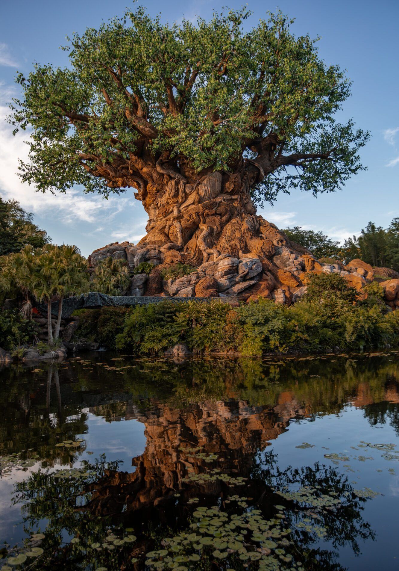 Tree of Life Water Reflection