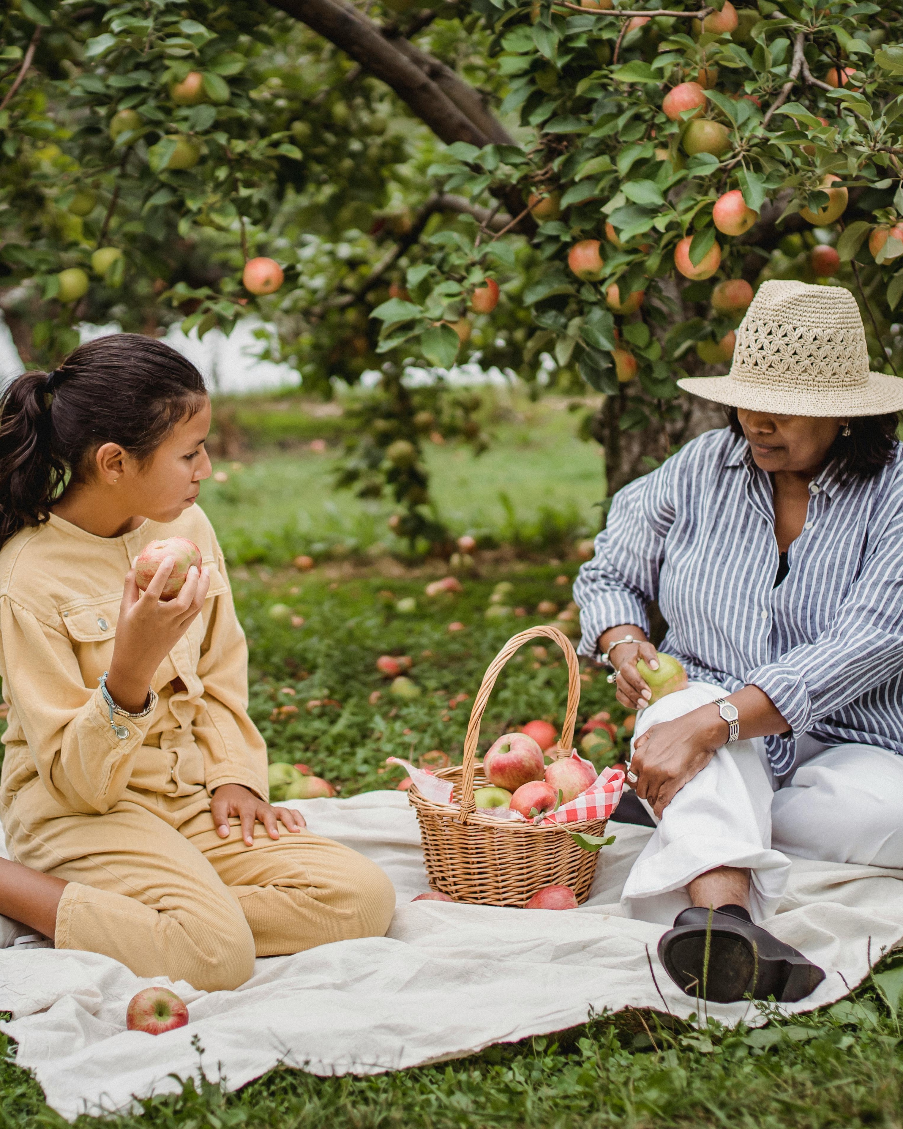 Picnic After Apple Picking in Orchard
