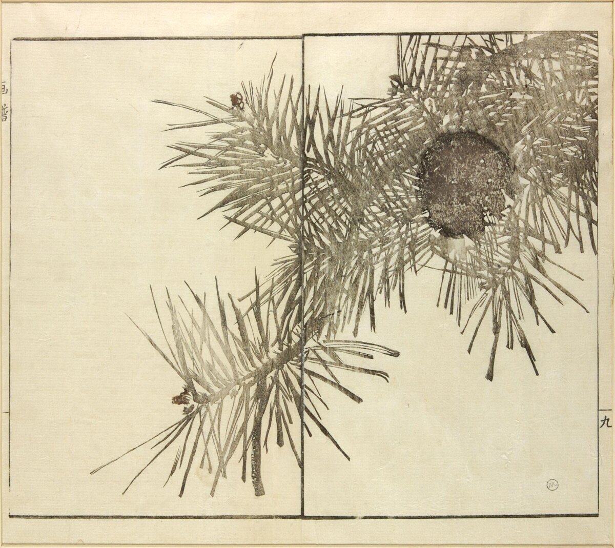 Pine Branches Ink Drawing