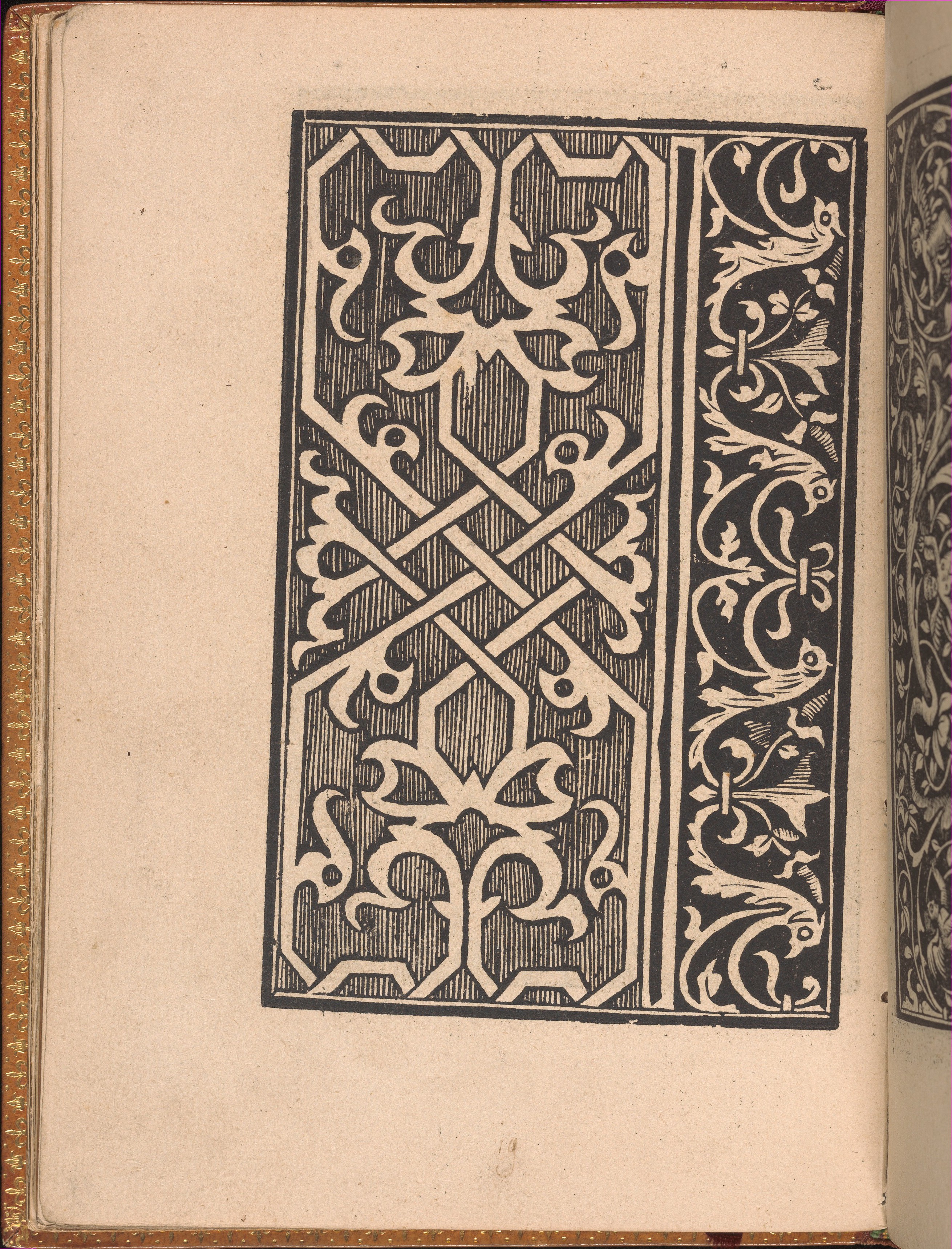 Antique Woodcut Decorative Pattern