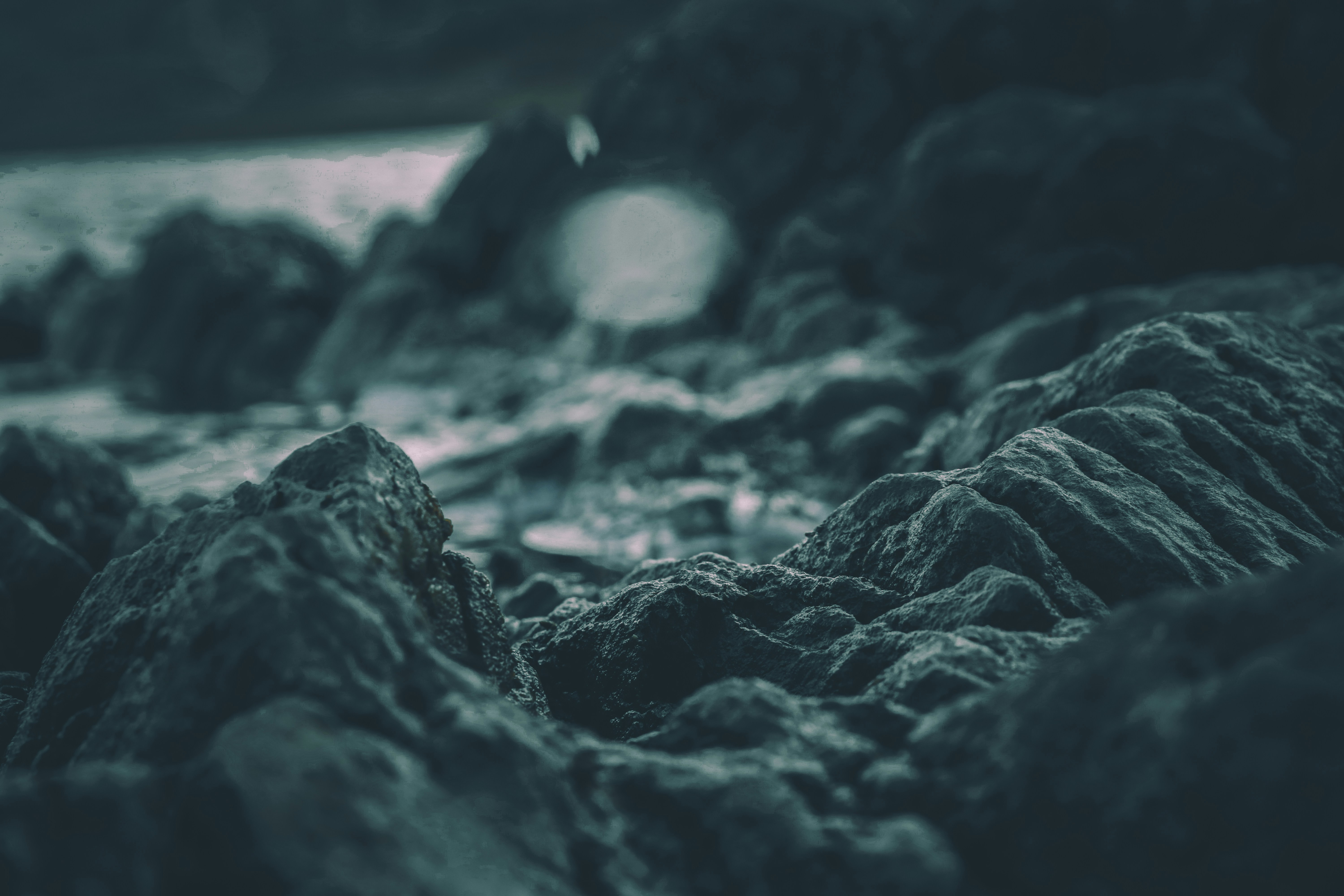 Close-up of Coastal Rocks