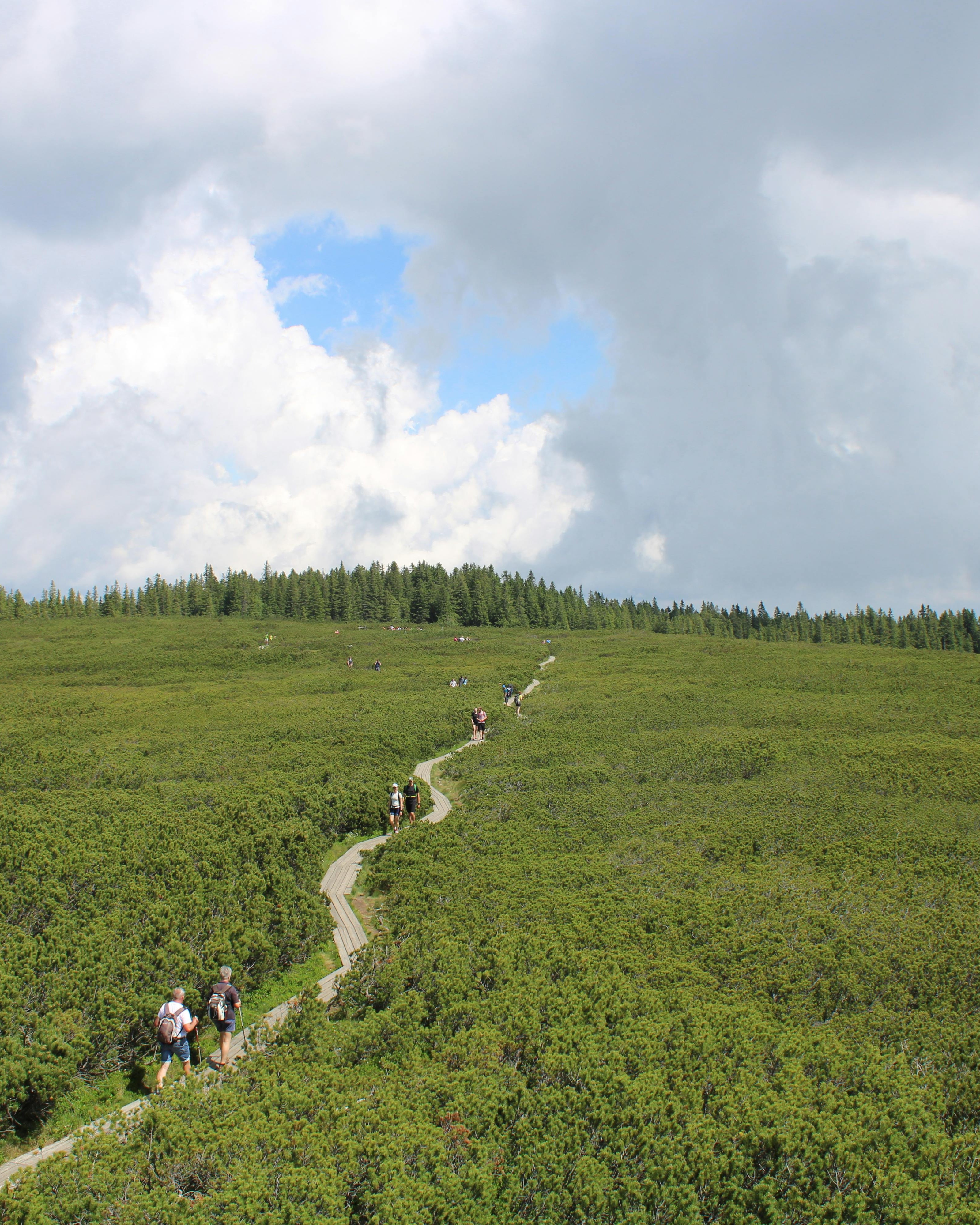 Hikers on Mountain Hiking Trail