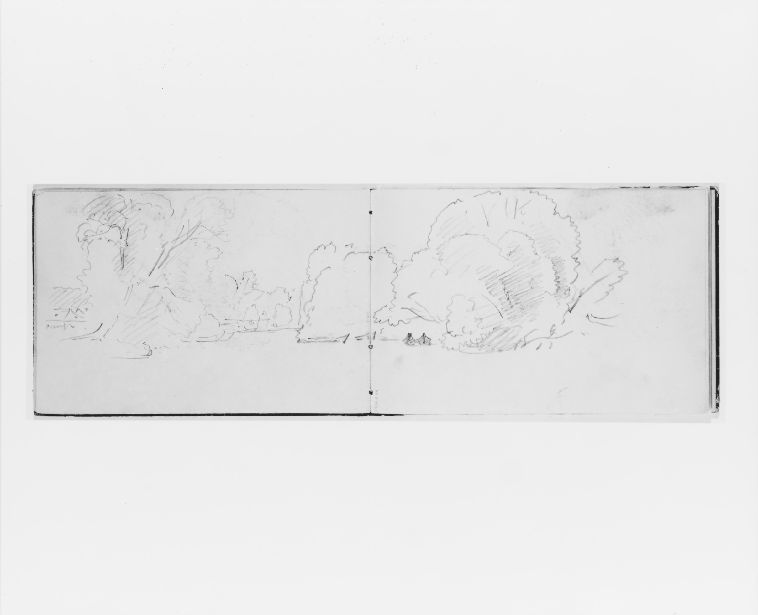 Pencil Sketch of Riverside Woods