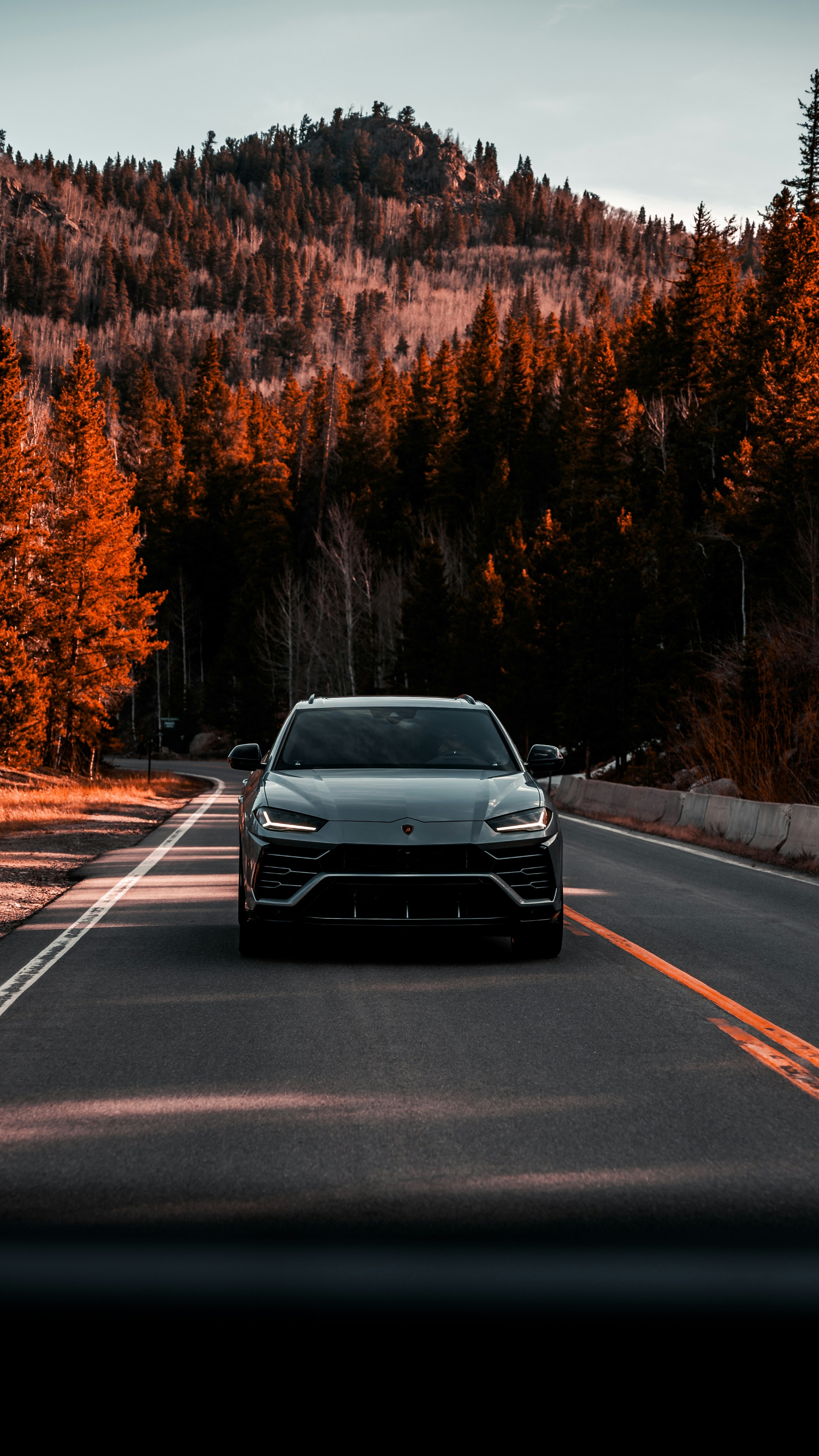 Wallpapers