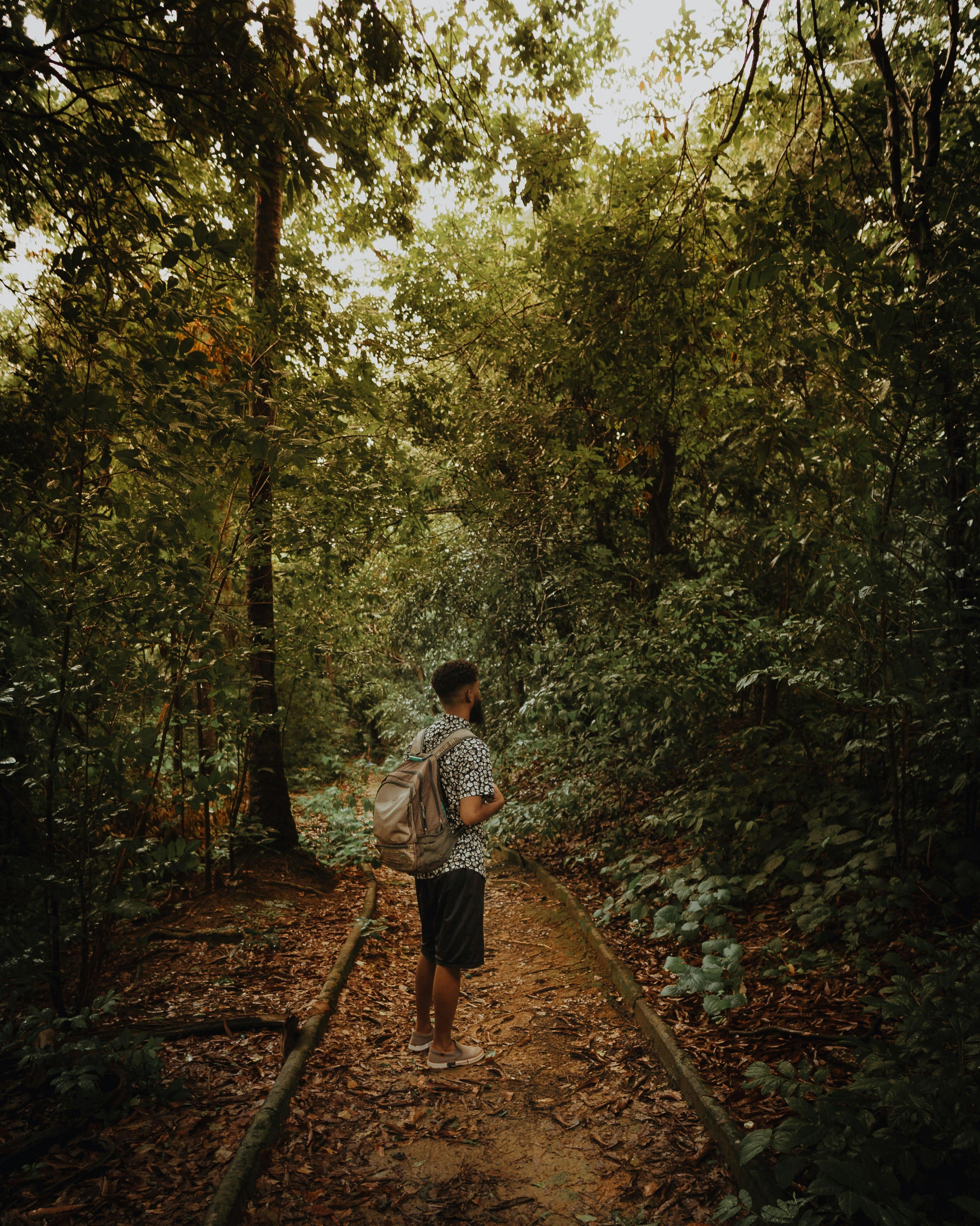 Hiker on Forest Hiking Trail