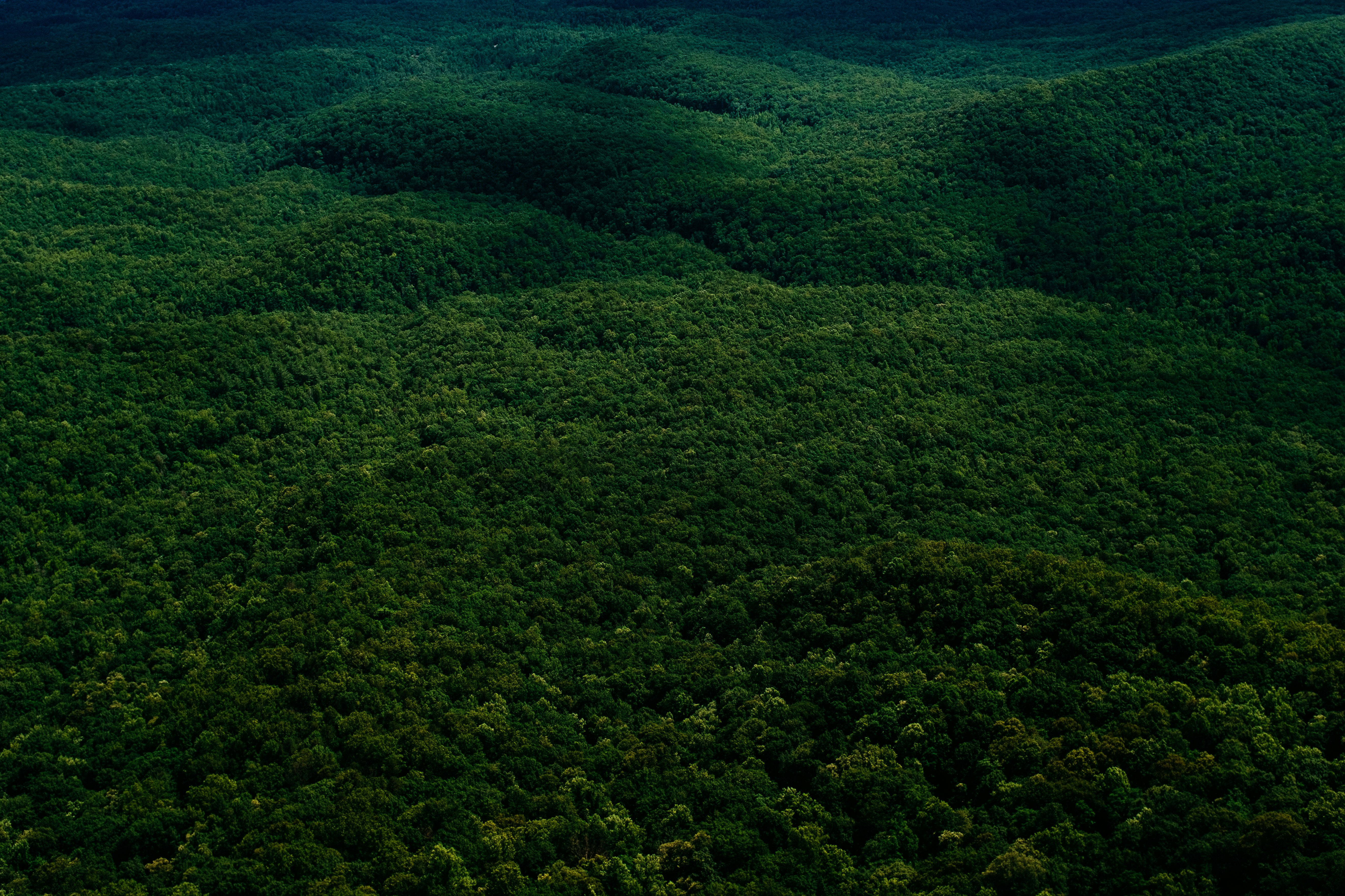 Aerial View of Forested Hills — Background Images