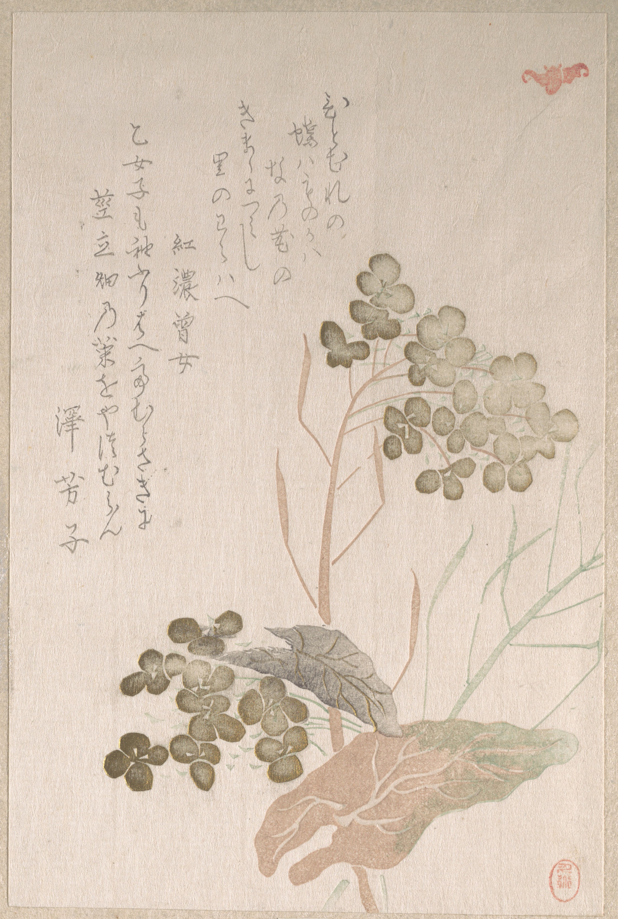 Japanese Hydrangea Print with Calligraphy