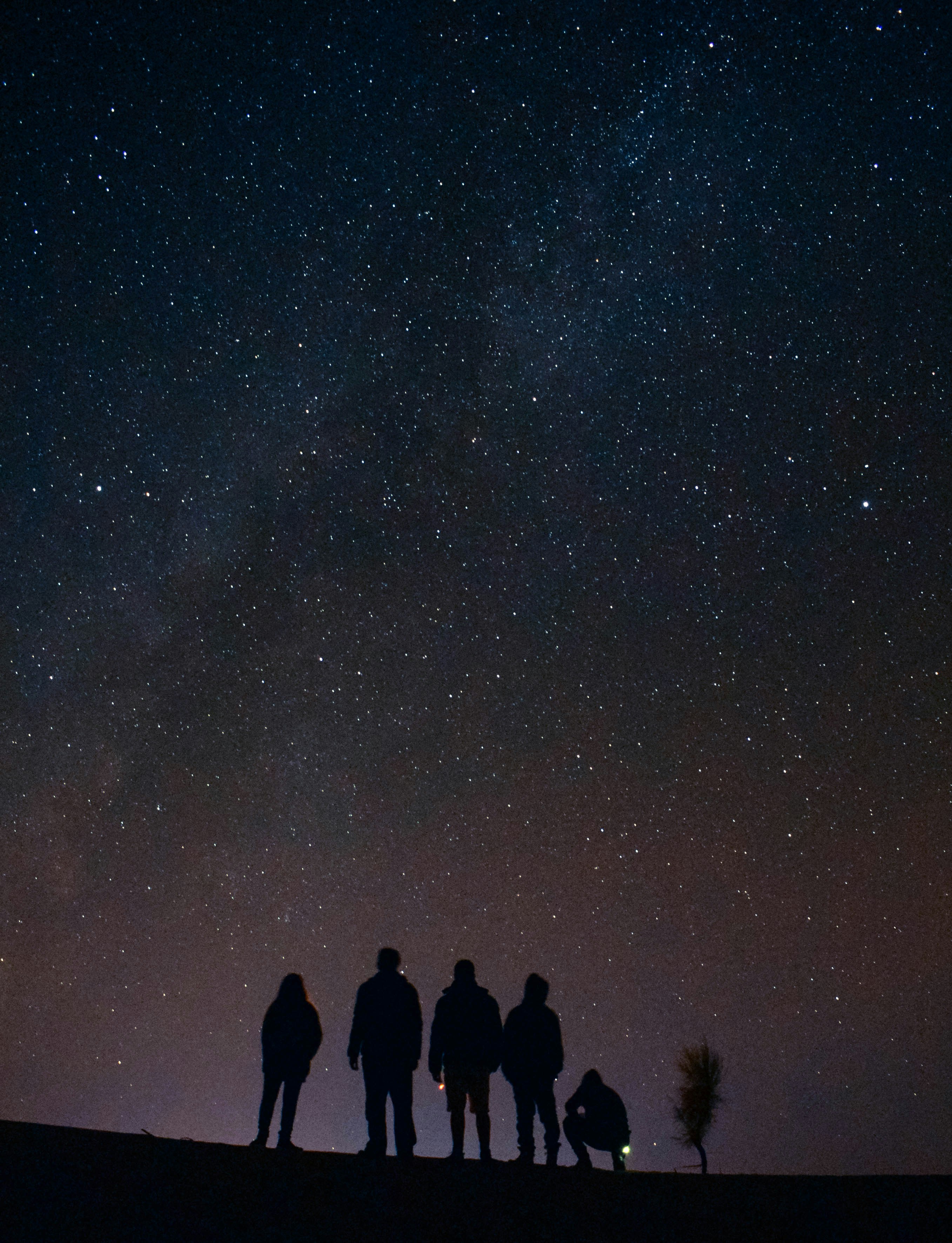 Group Silhouettes Under Starry Night Sky