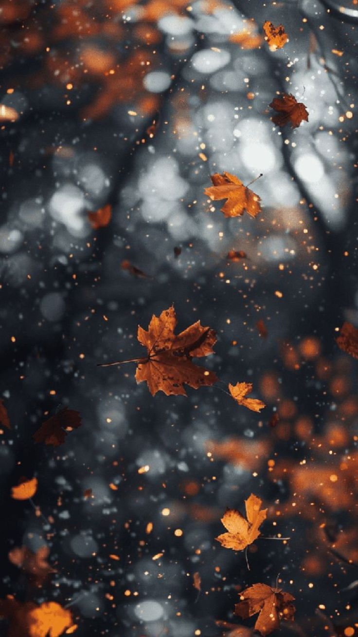 Wallpapers