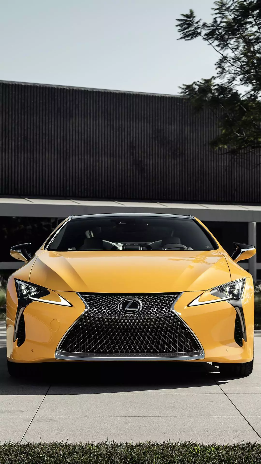 Yellow Lexus Sports Car — Cars