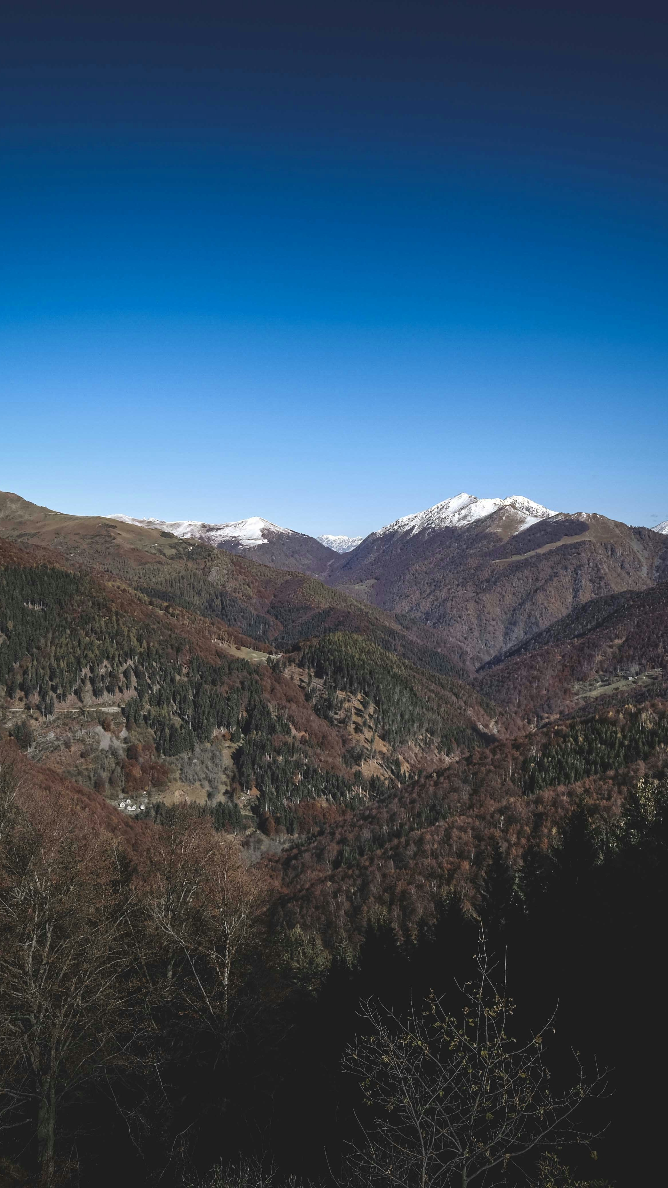 Autumn Mountain Valley with Snow Peaks
