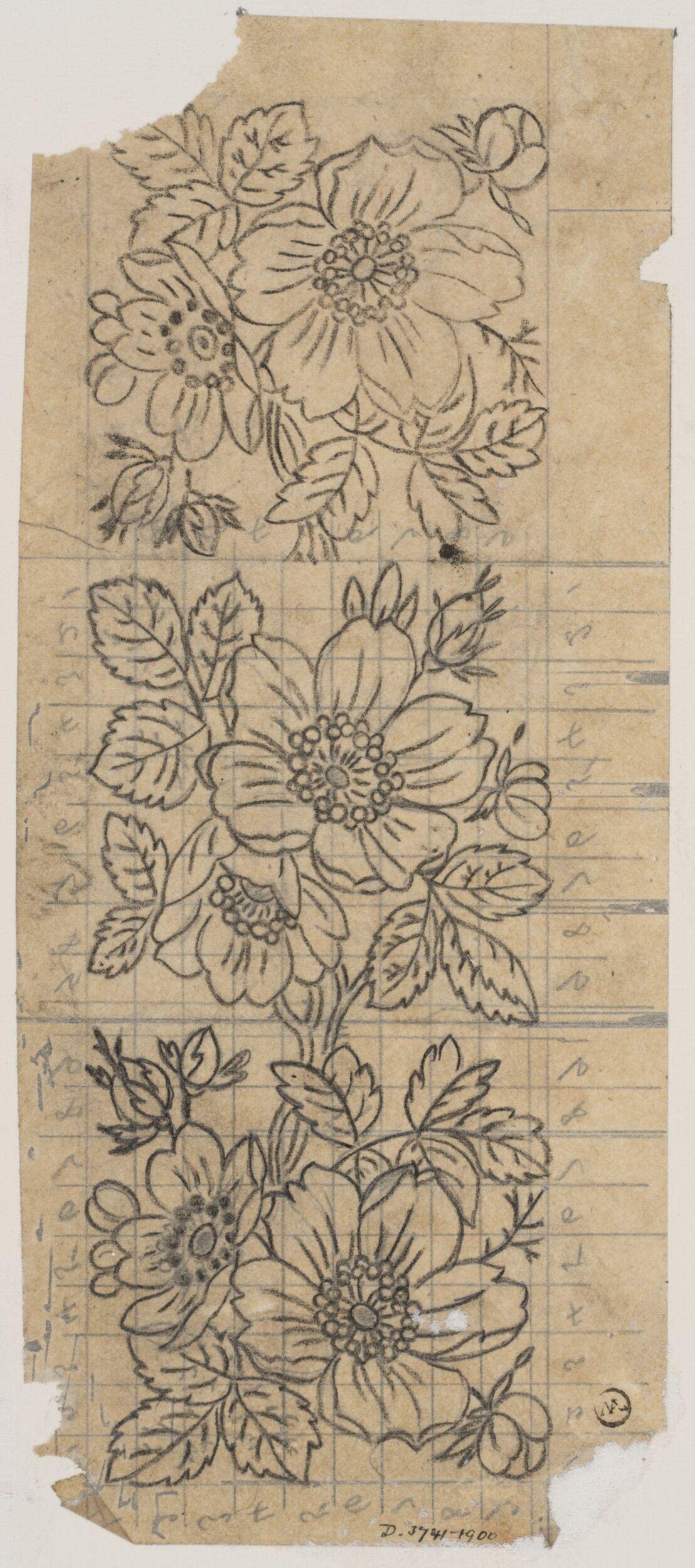 Pencil Sketch of Wild Rose Pattern