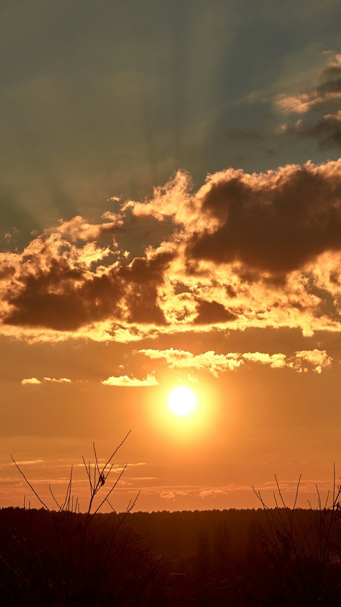 Golden Sunset Over Landscape
