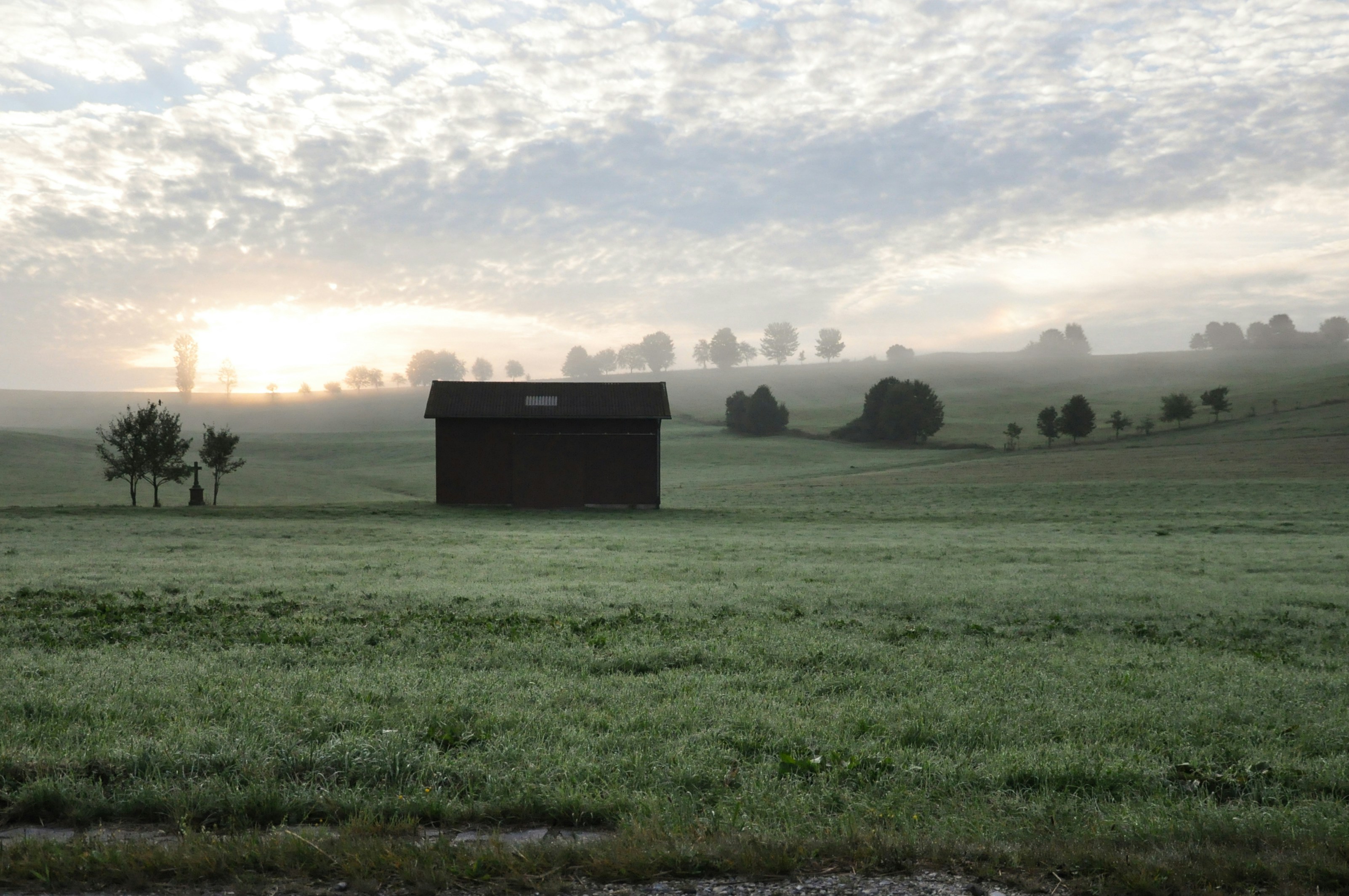 Misty Morning Rural Fields
