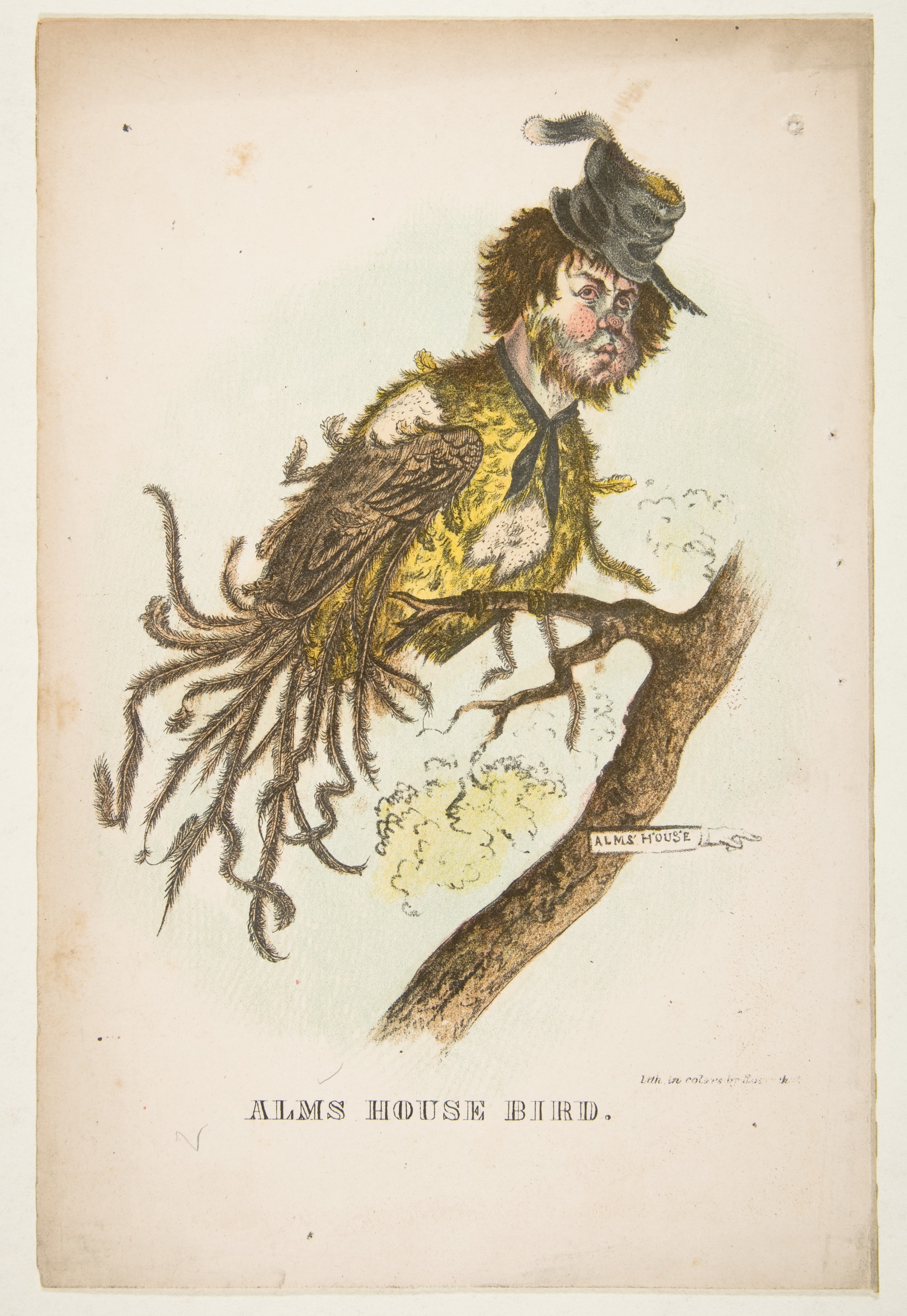 Alms House Bird Satirical Caricature