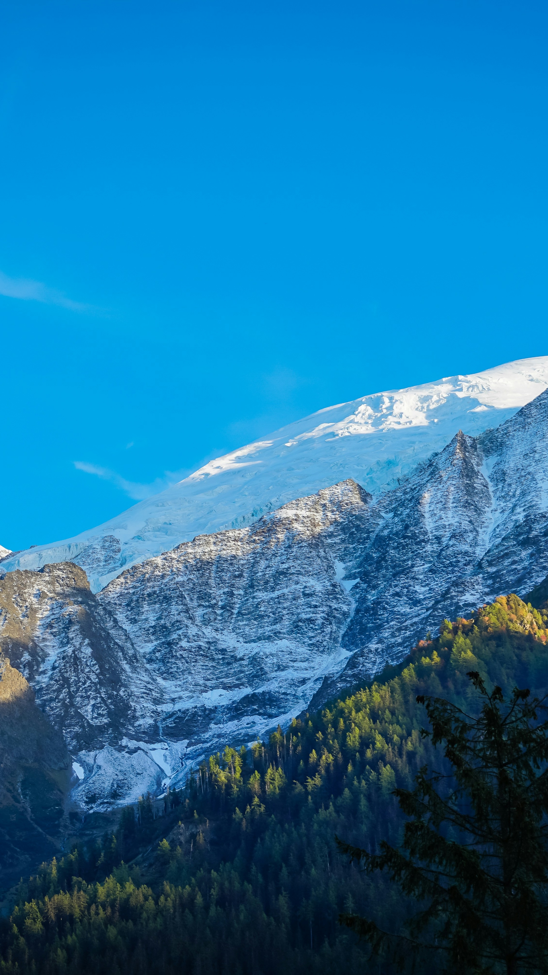 Snowy Mountain and Forest Landscape