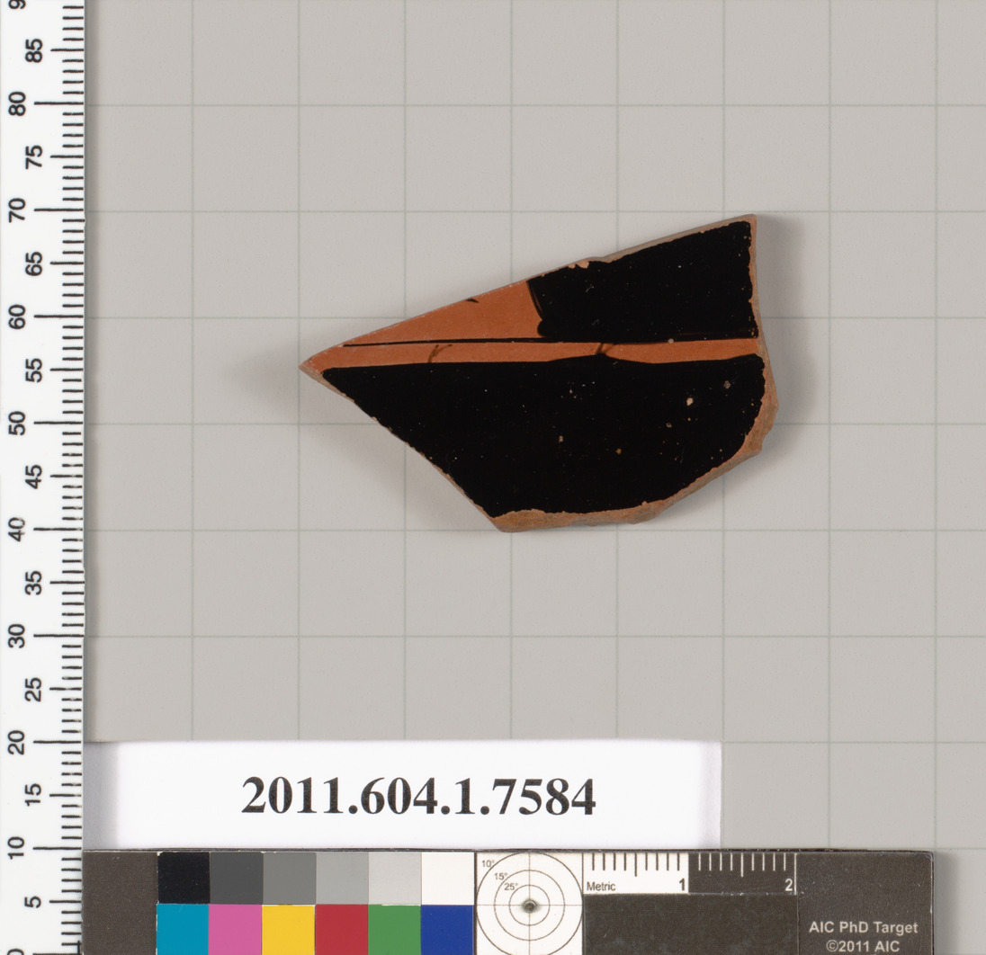 Ancient Pottery Shard Specimen