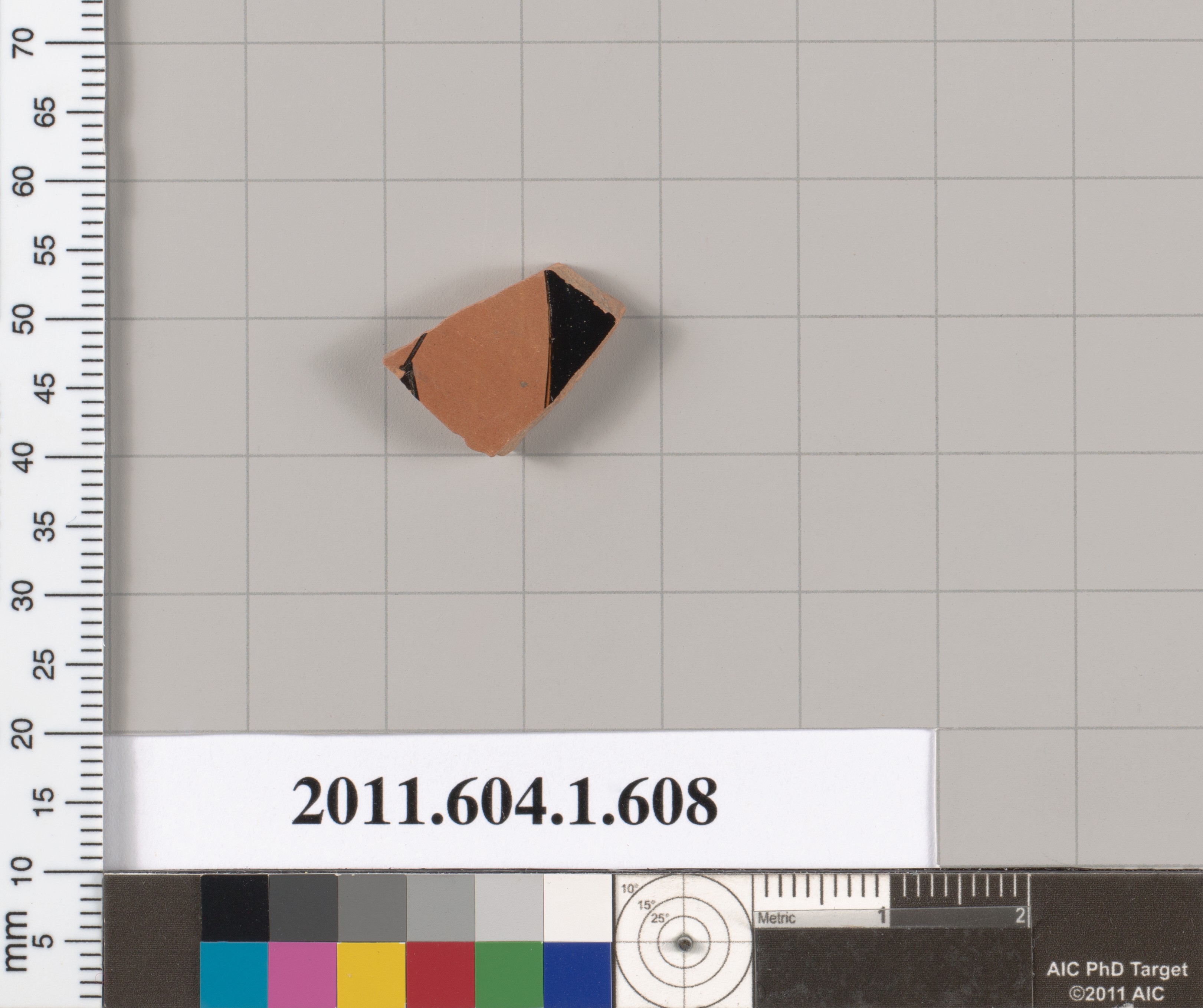 Archaeological Pottery Sherd Specimen