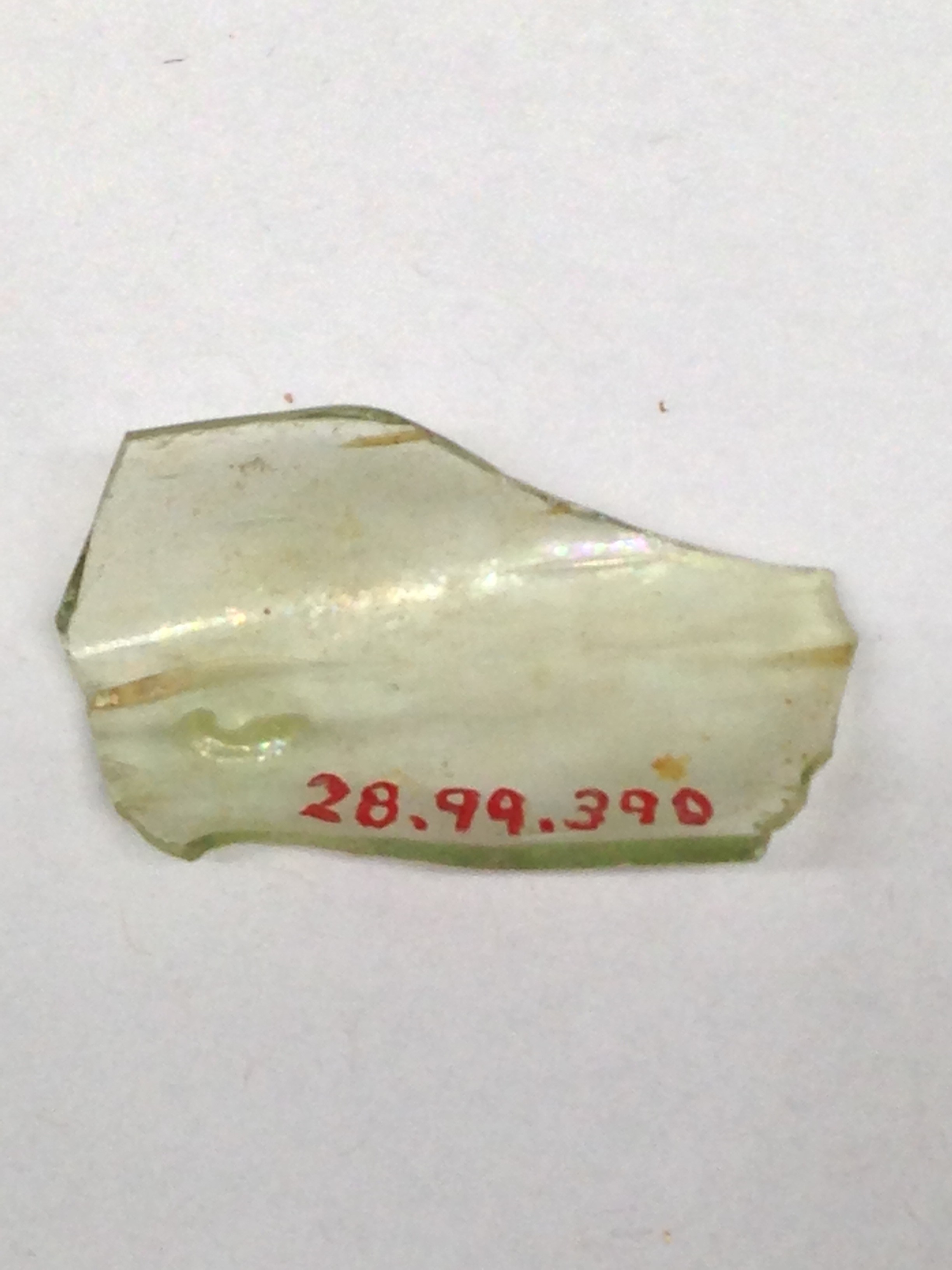 Cataloged Pale Green Glass Fragment