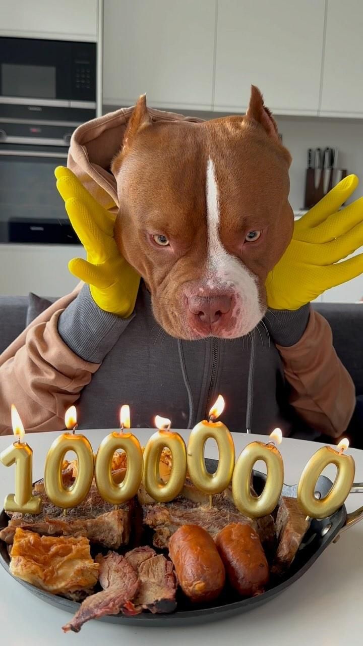 Funny 100000 Followers Dog Celebration