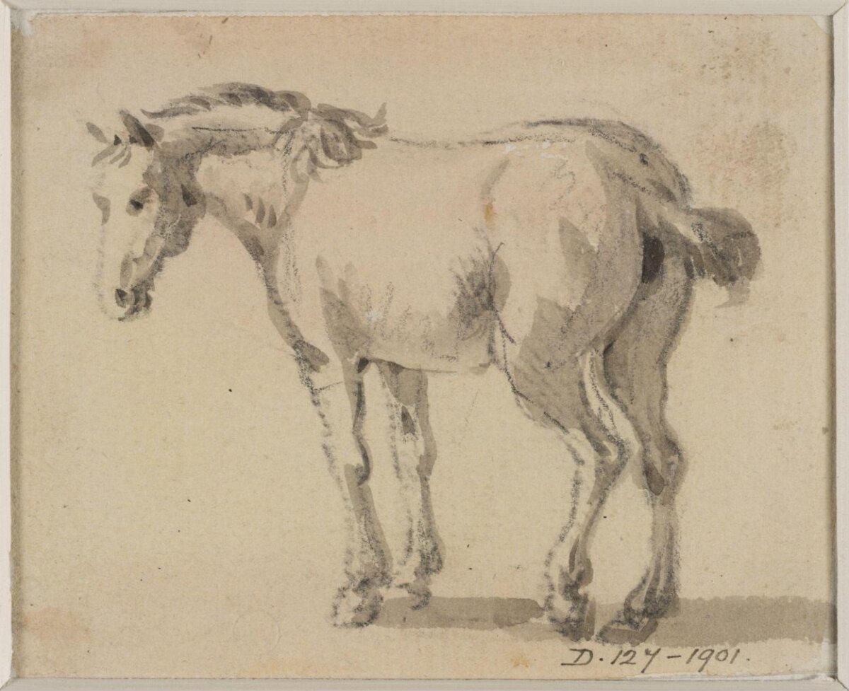 Ink Wash Sketch of a Standing Horse