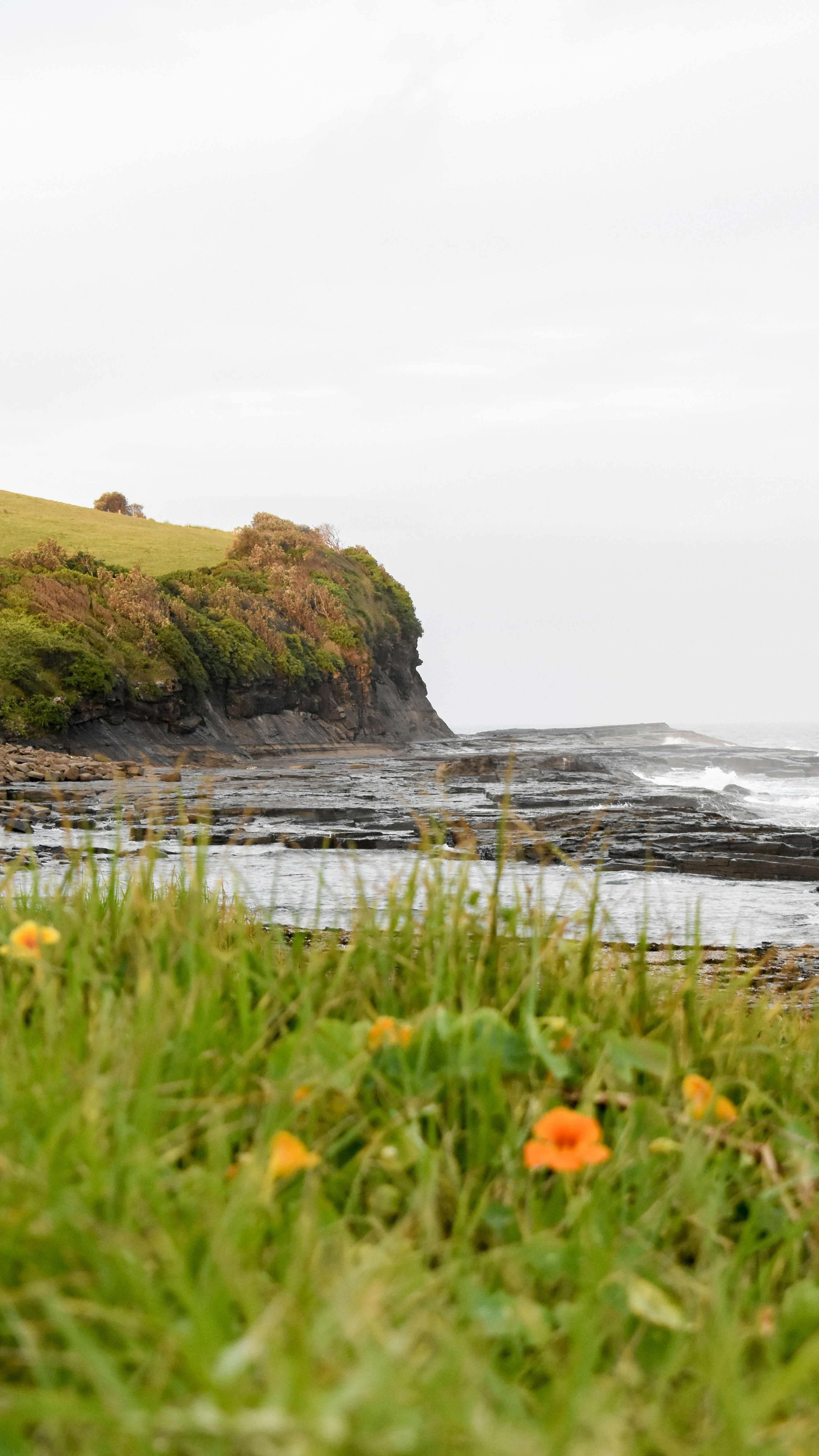 Image 1570340 — Nature