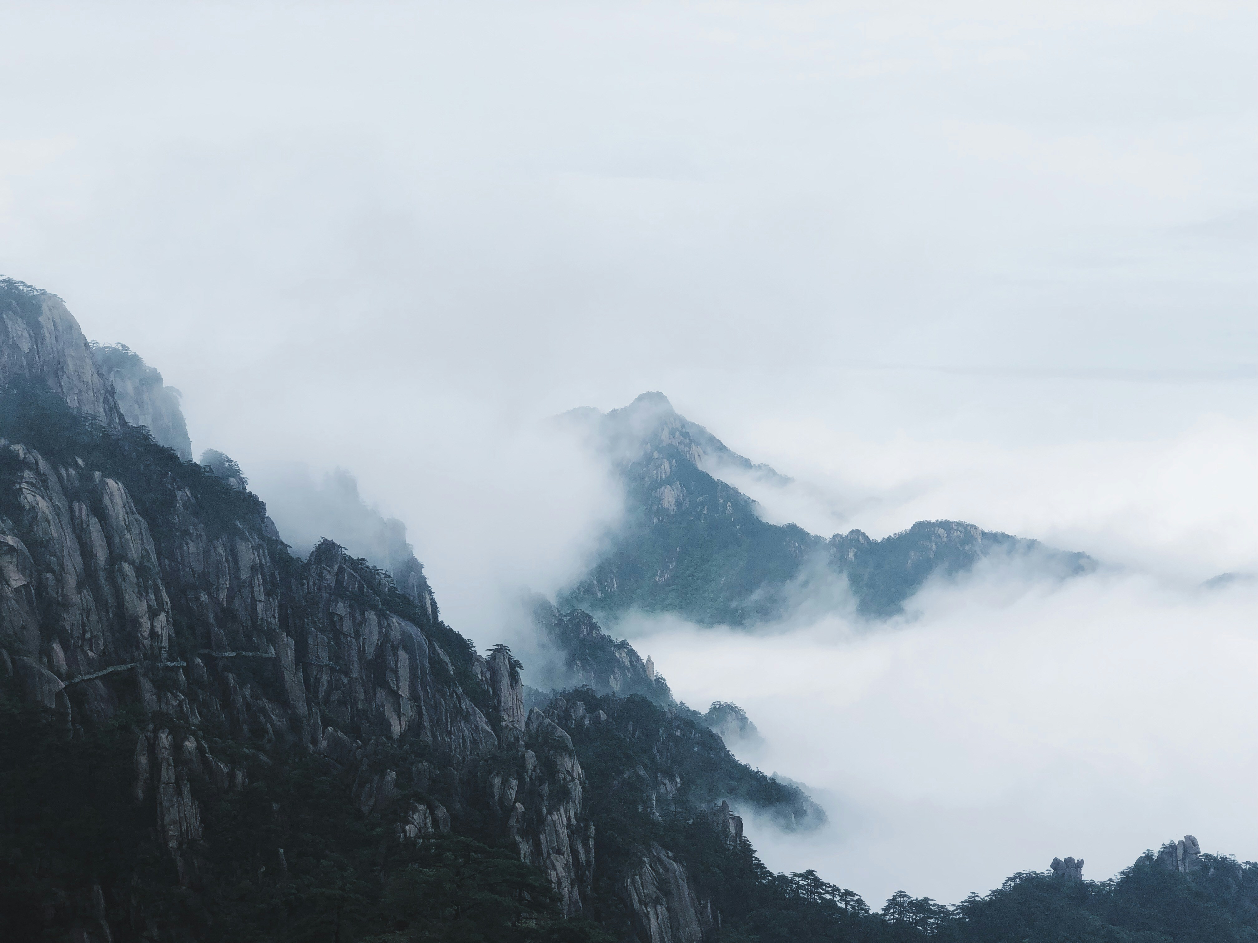 Rocky Mountains in Cloud Sea