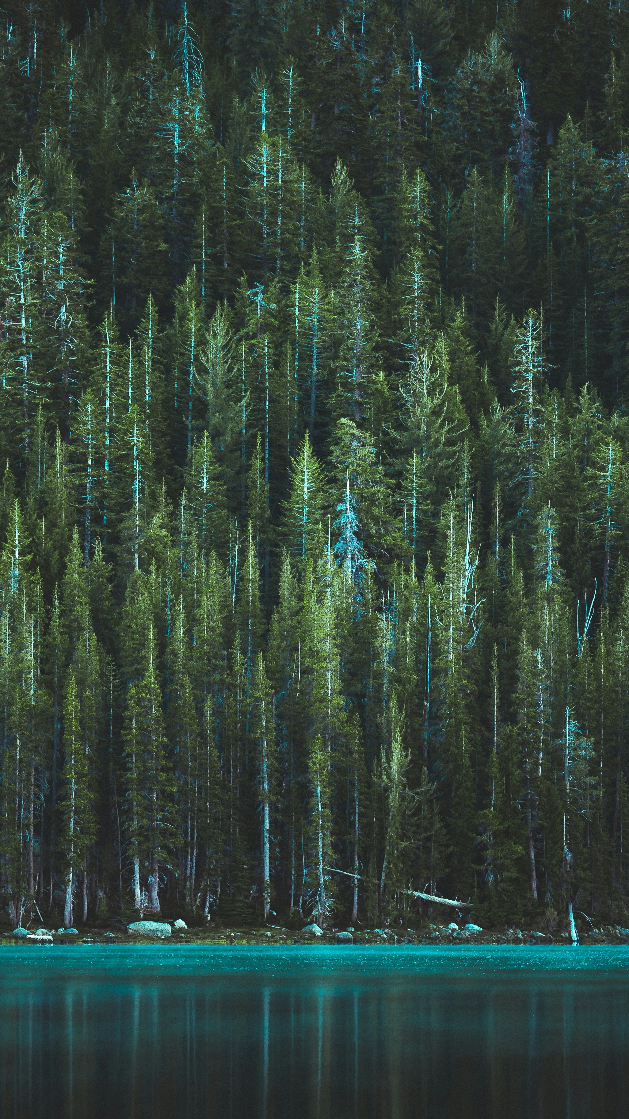 Wallpapers