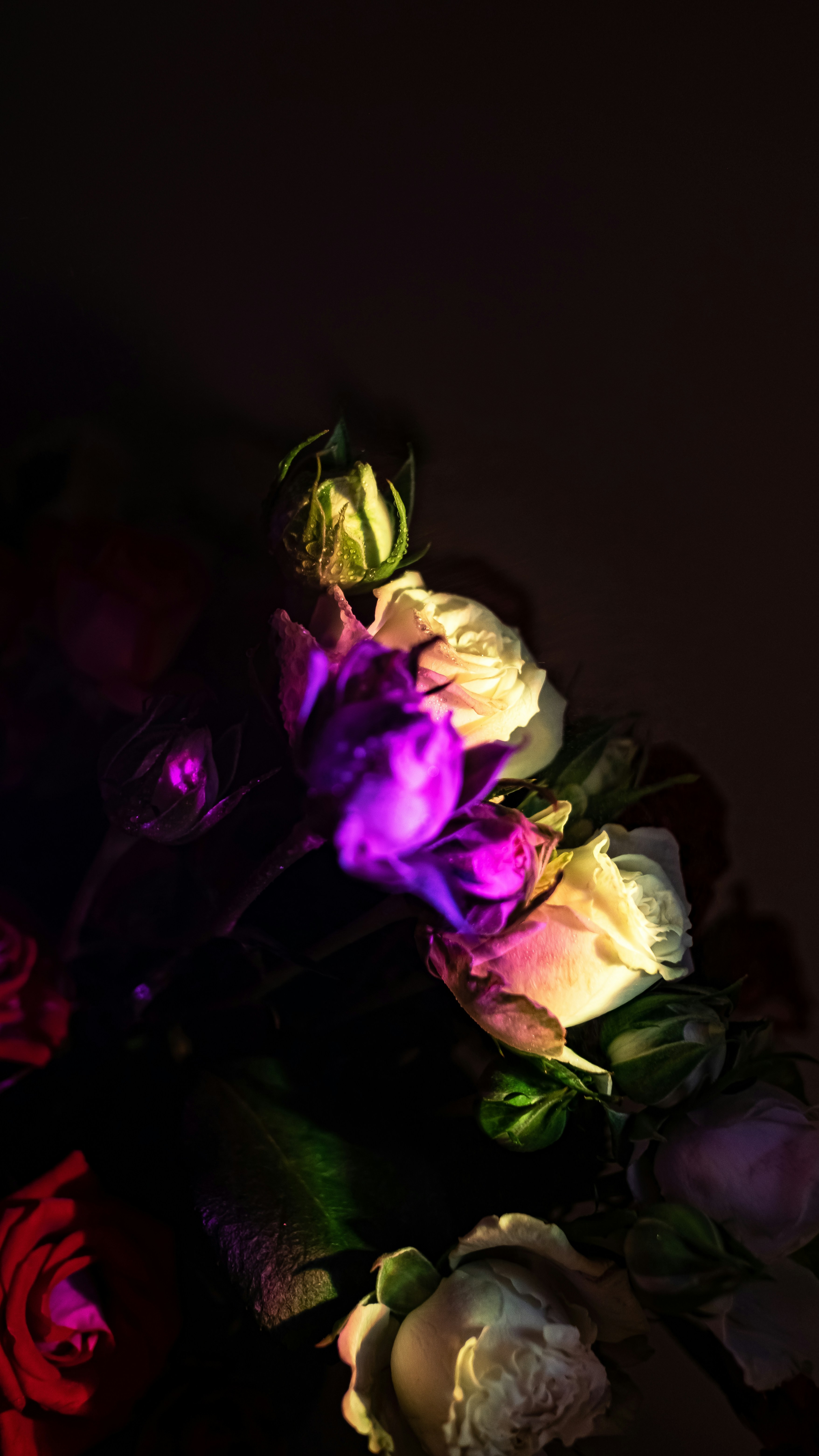 Wallpapers
