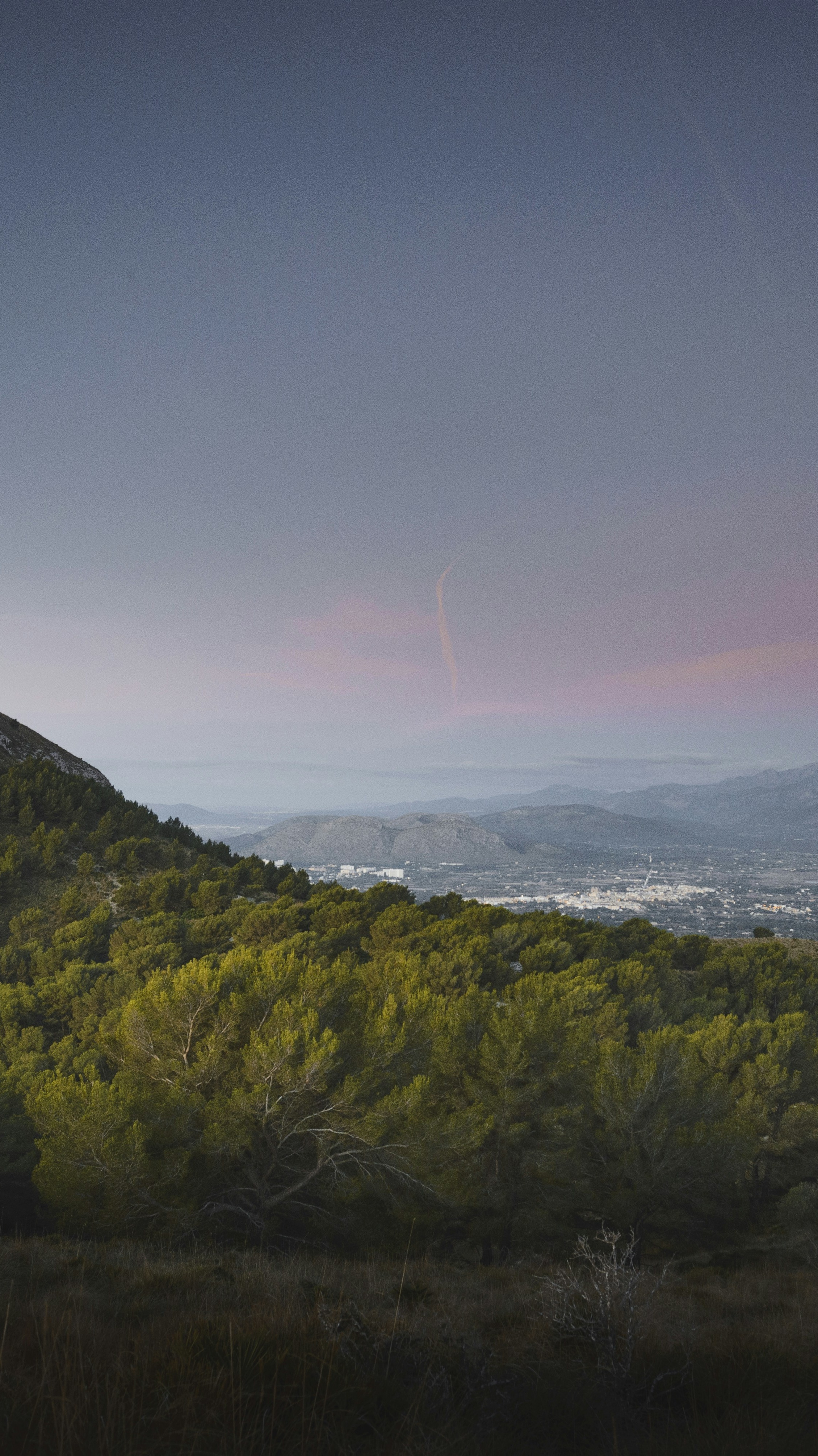 Landscapes