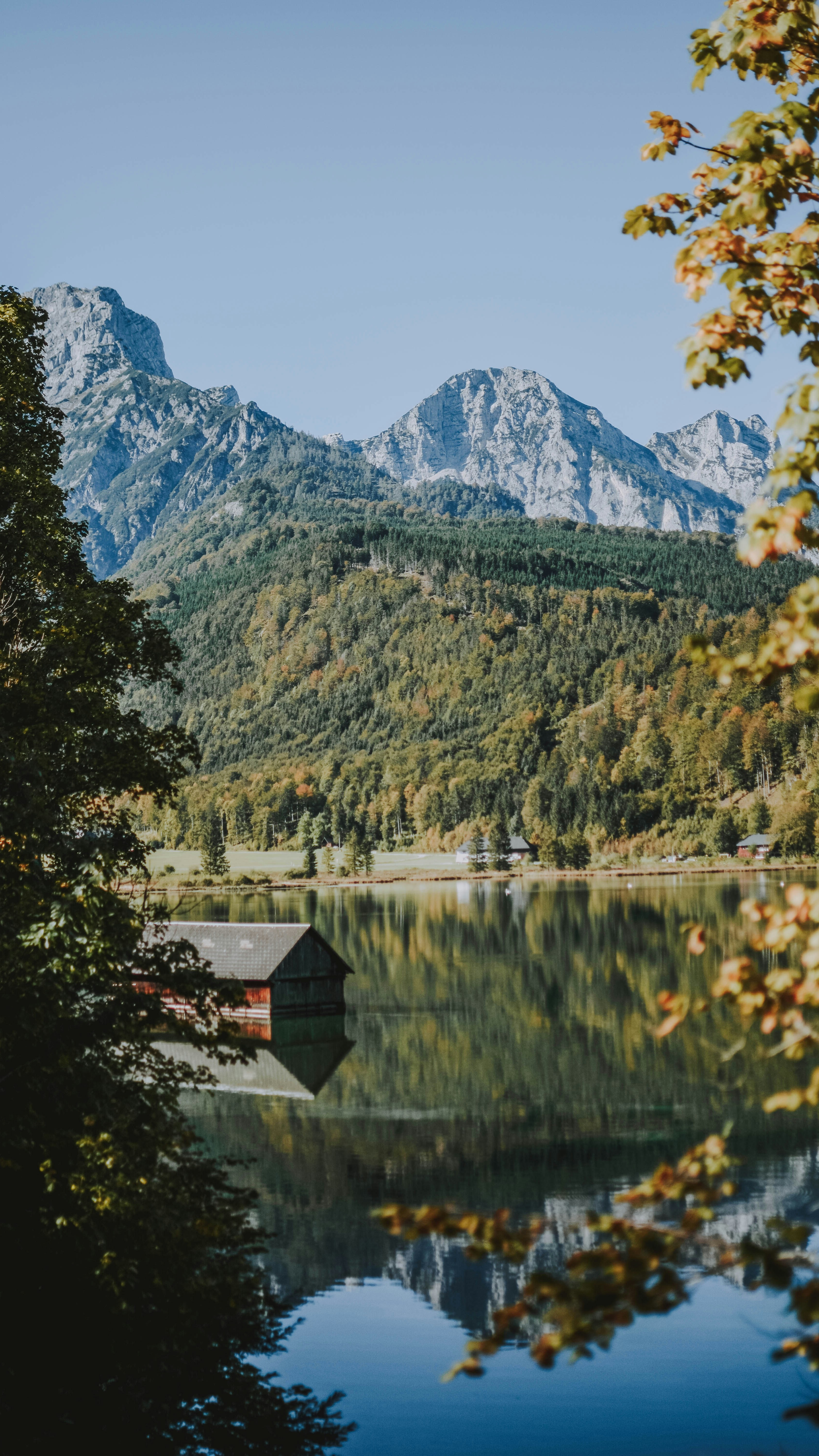 Wallpapers