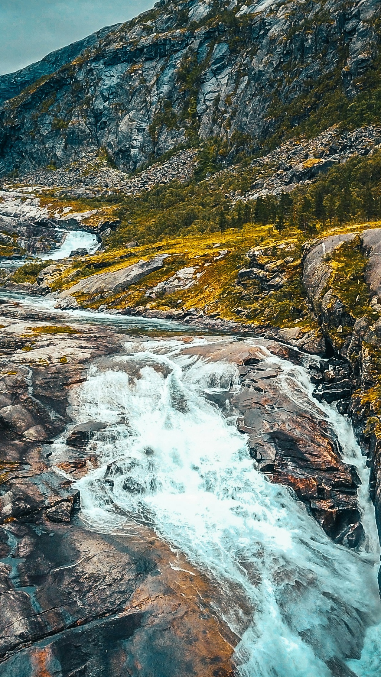 Wallpapers