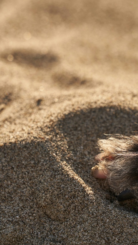 Dog Paw Resting in Beach Sand