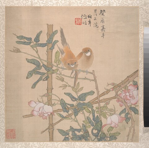 Traditional Chinese Rose and Bird Painting