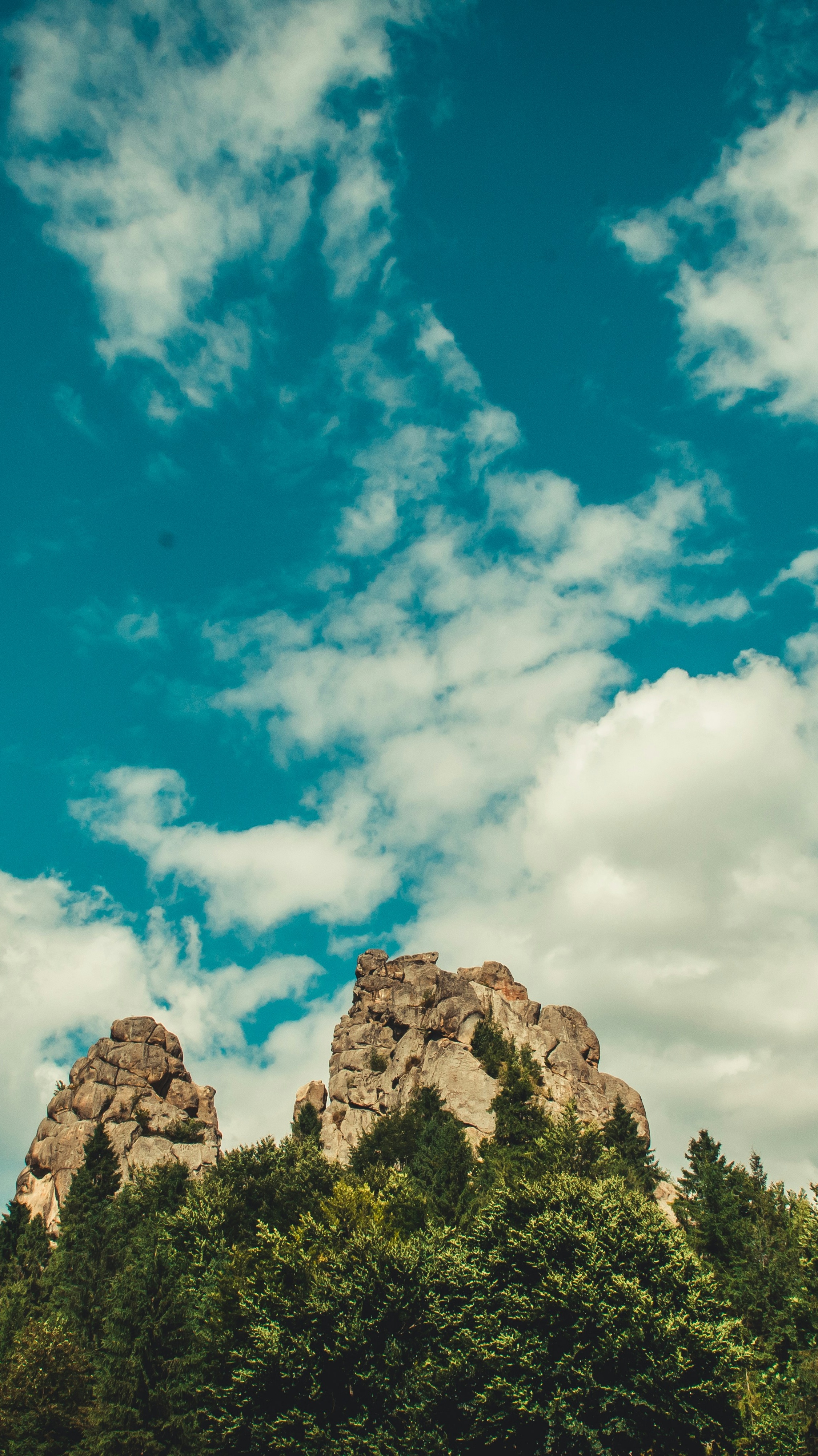 Wallpapers