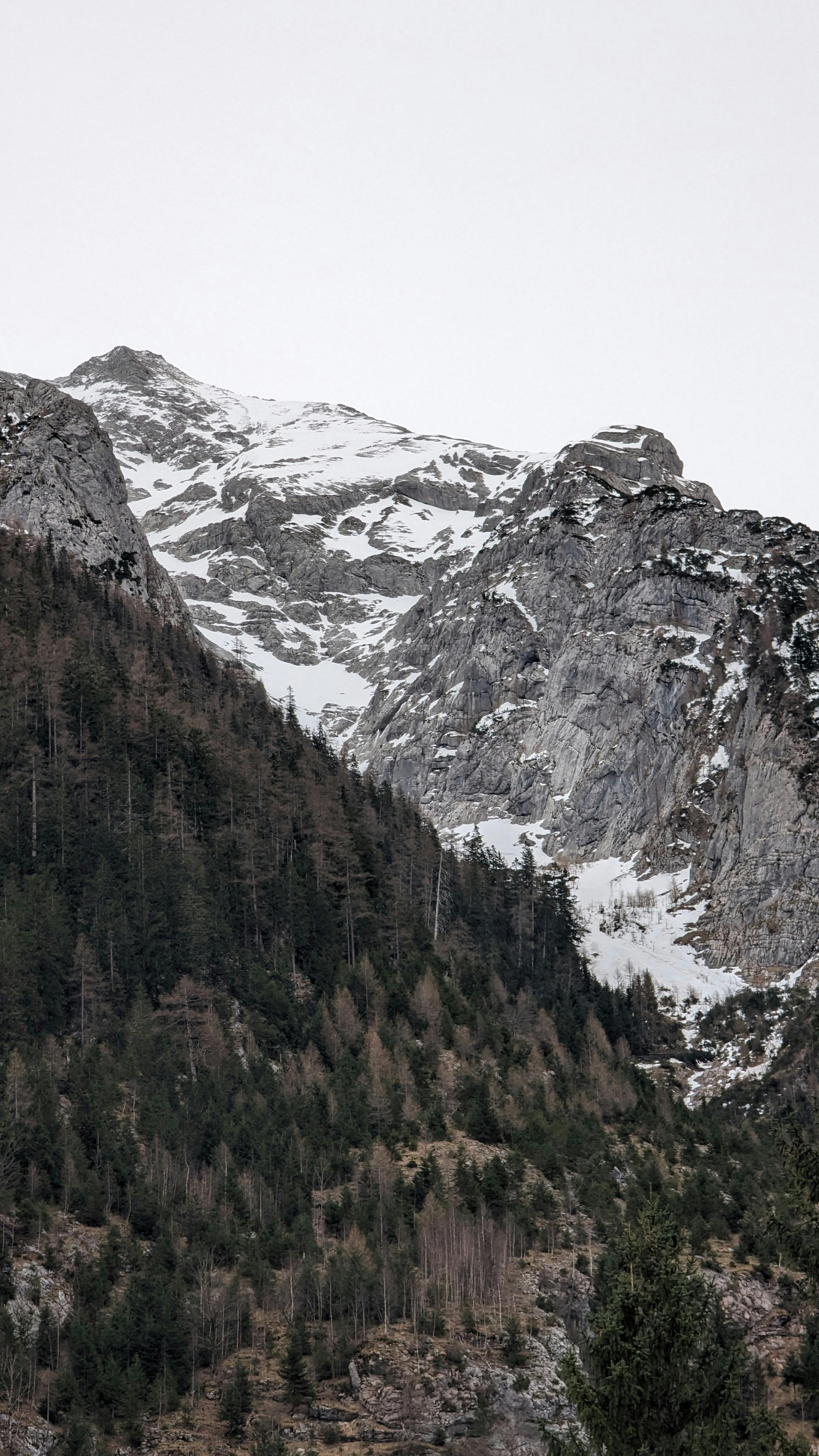 Image 1620587 — Nature