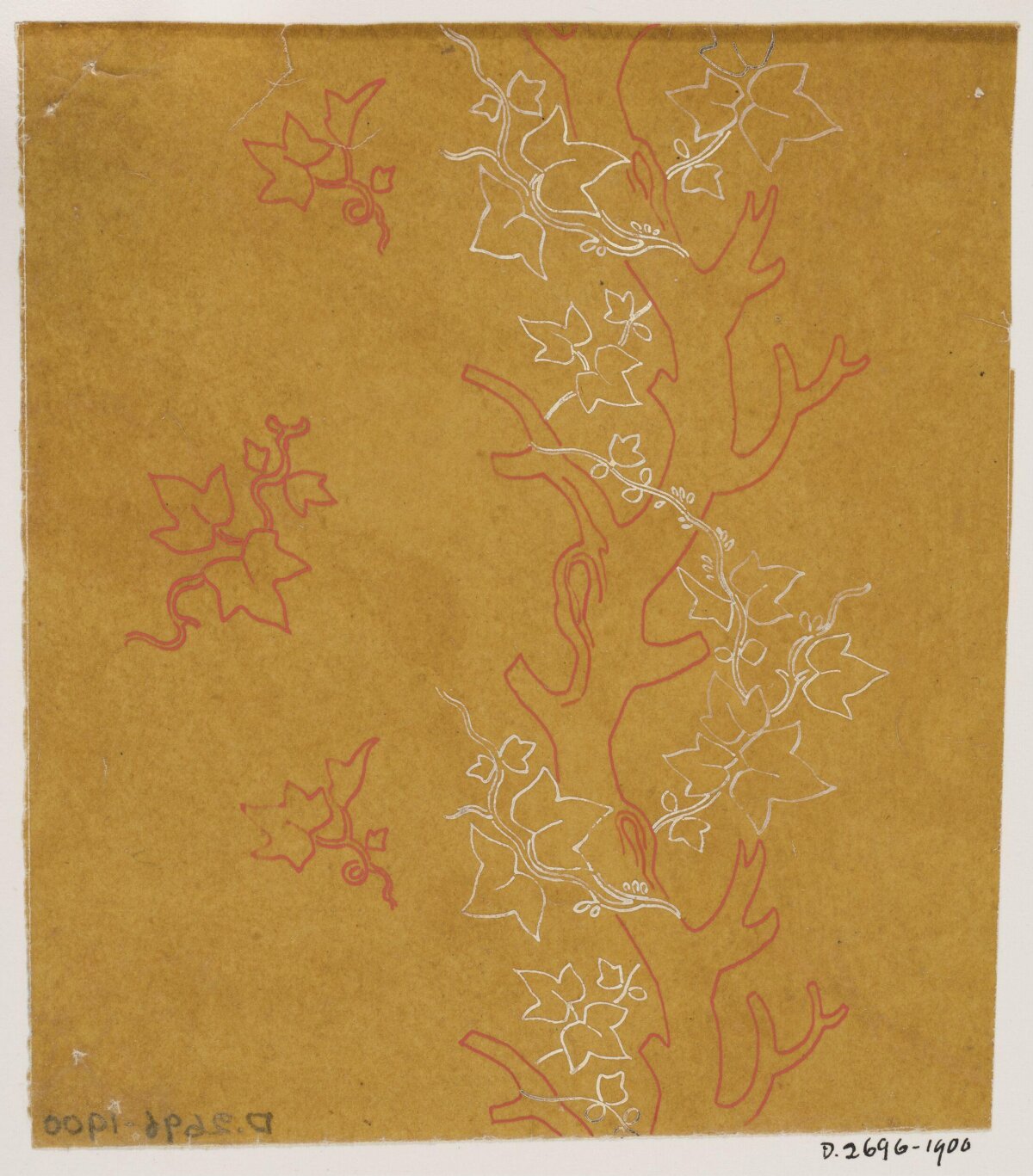 Tree and Ivy Pattern Design Sketch