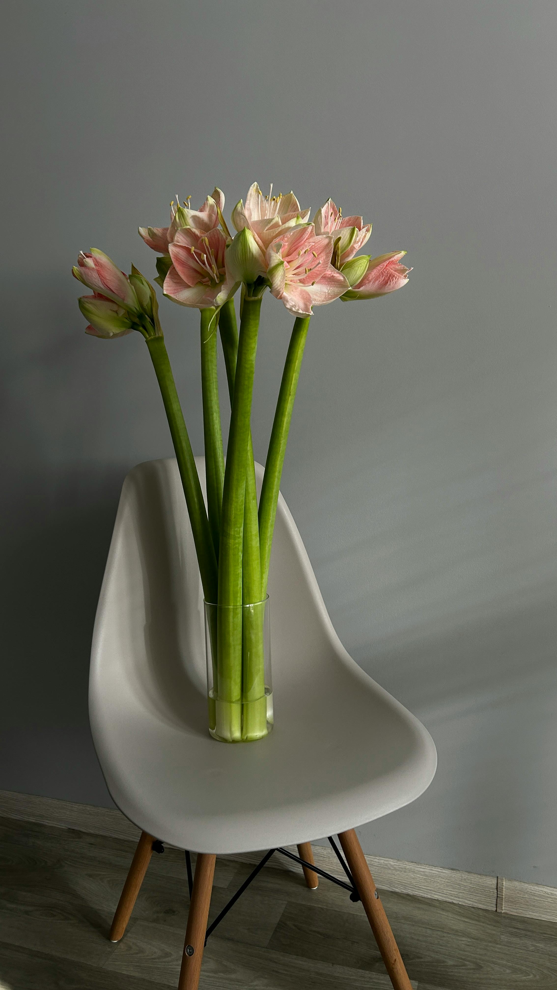 Home Decoration