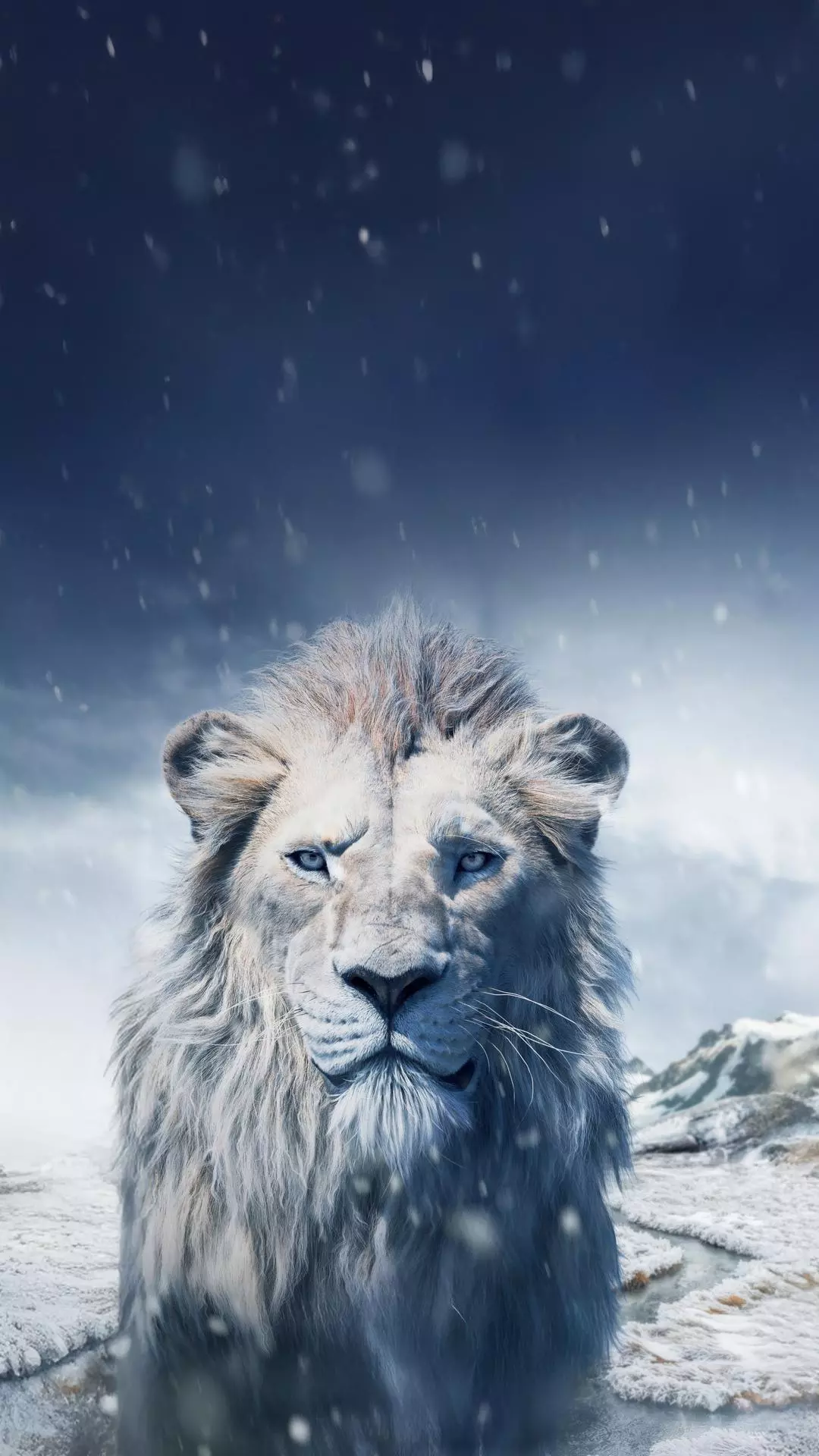 Wallpapers