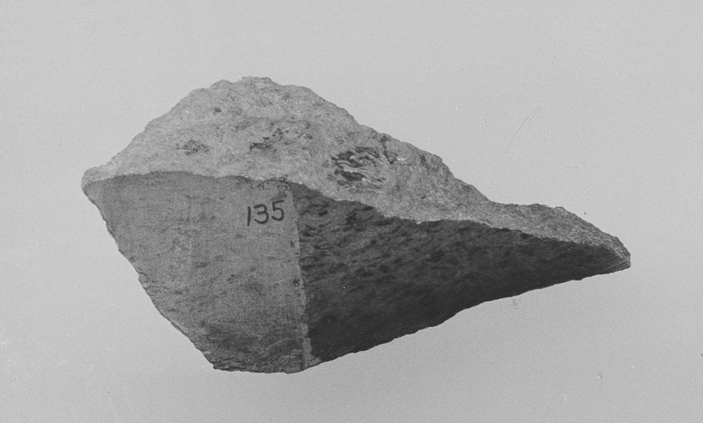 Labeled Geological Rock Specimen