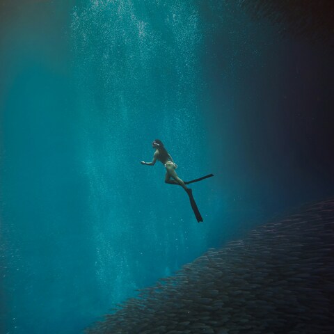 Freediver Swimming Beside School of Fish