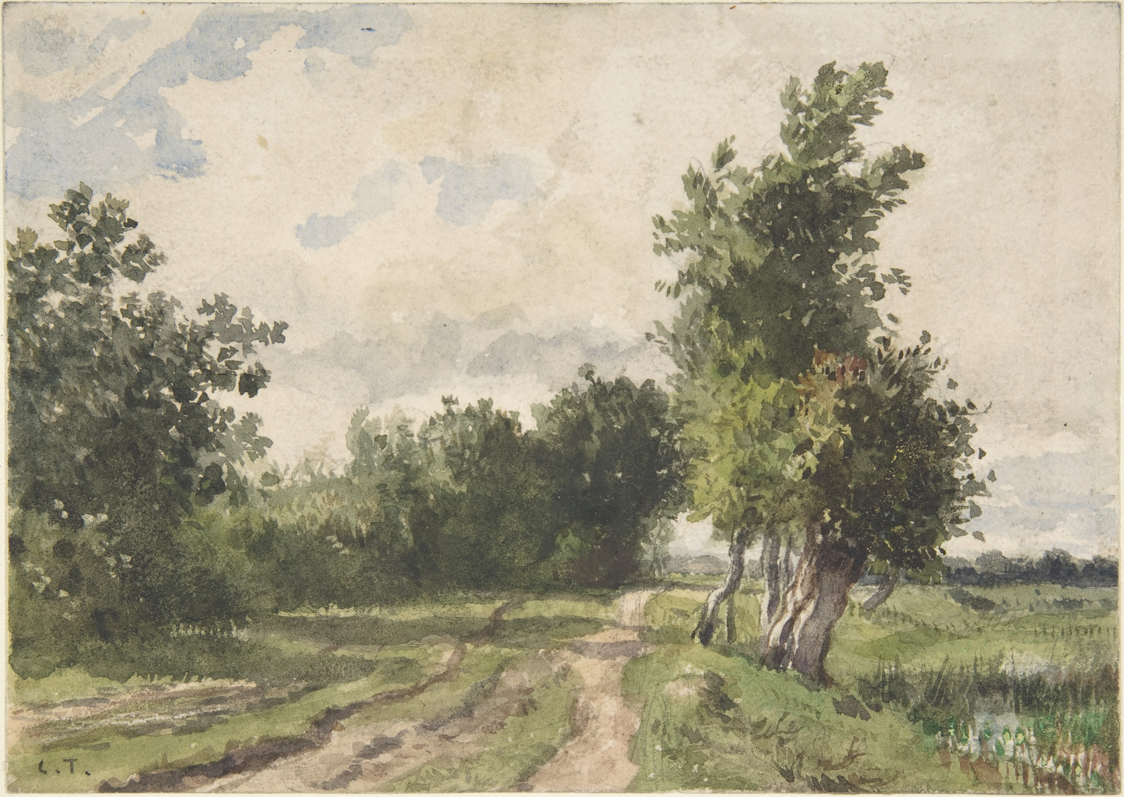 Rural Dirt Road Landscape