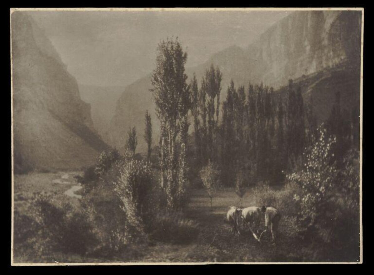Farmer Plowing in Mountain Valley
