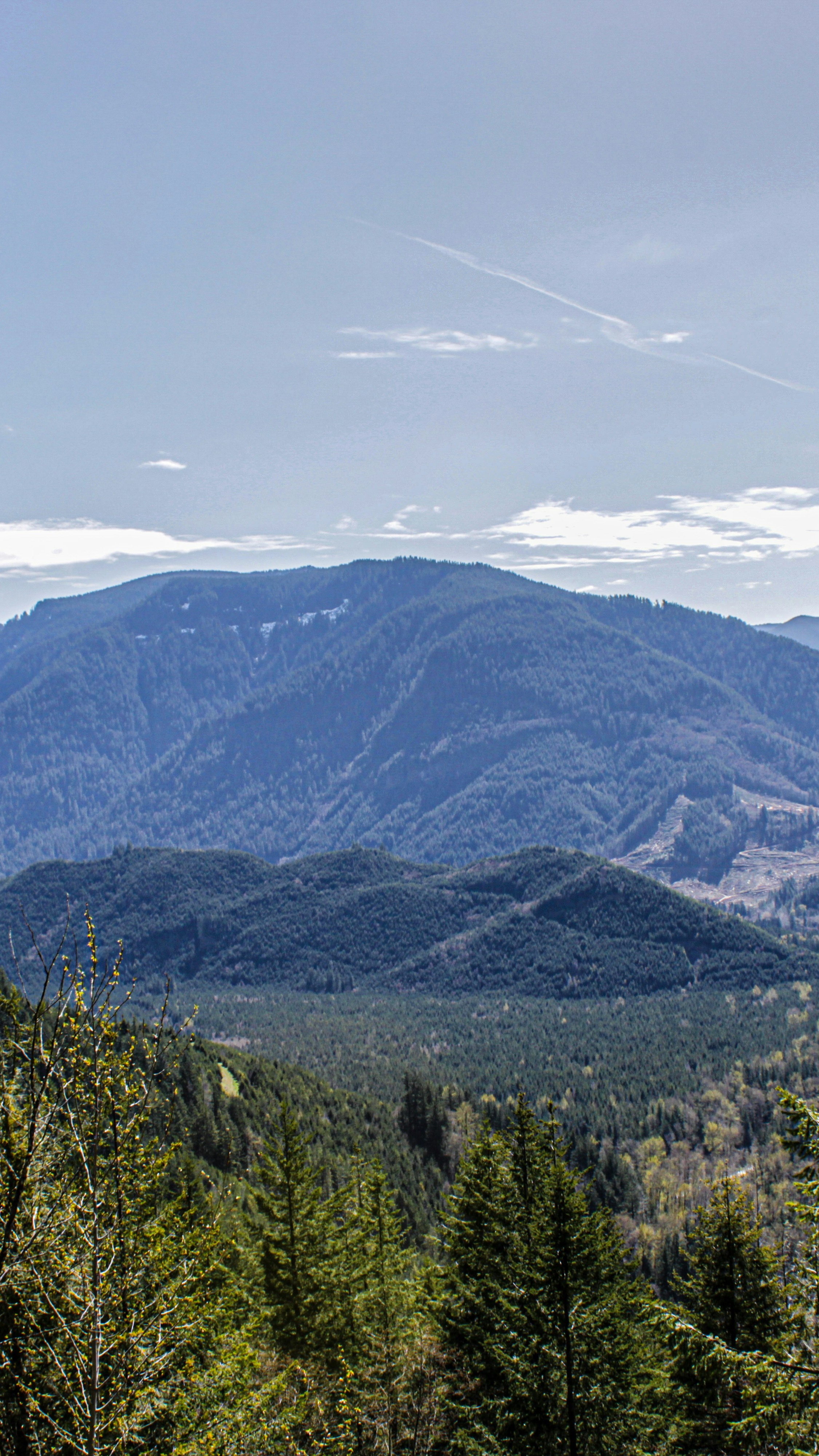 Forested Mountain Range View