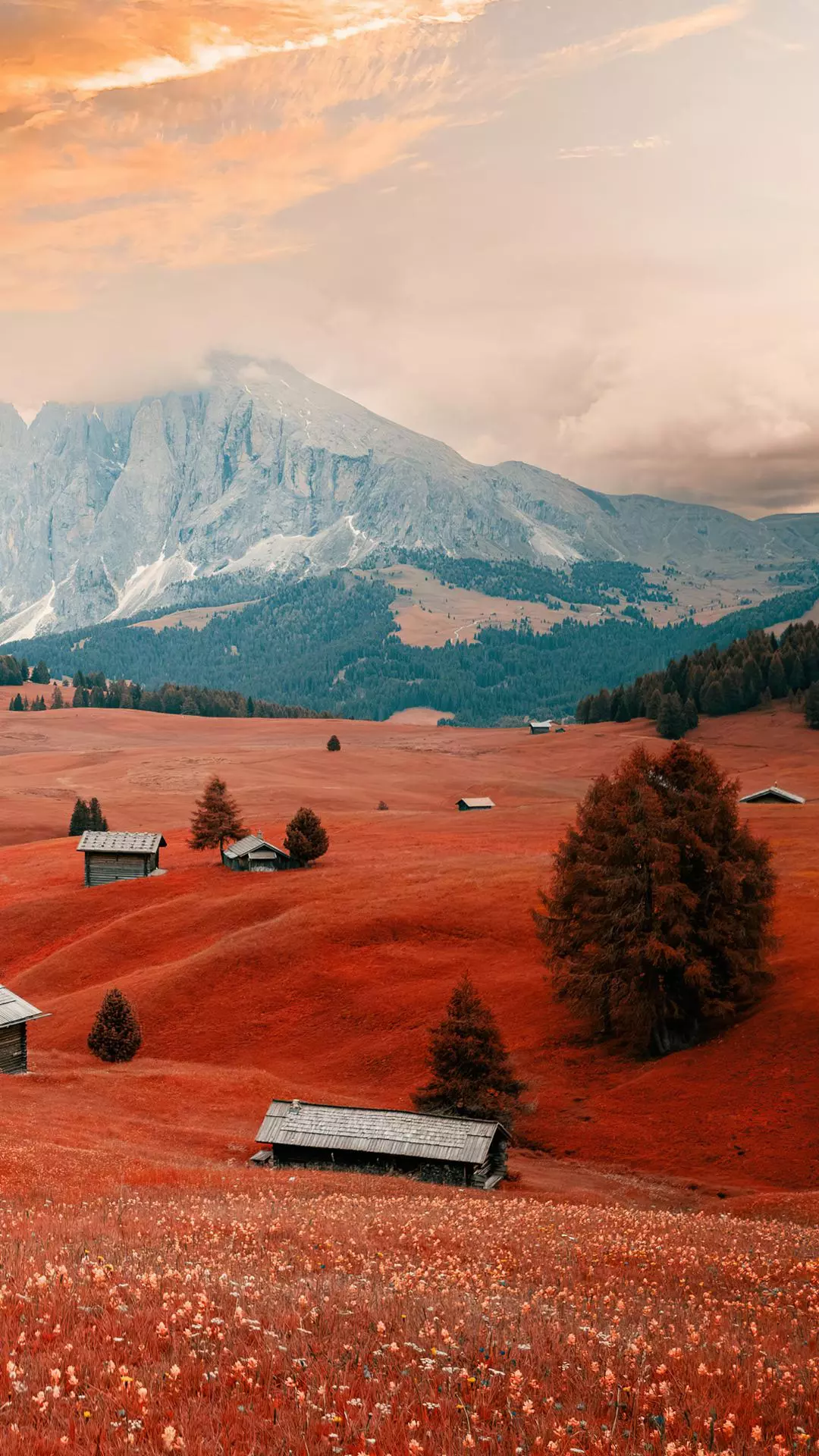Landscapes