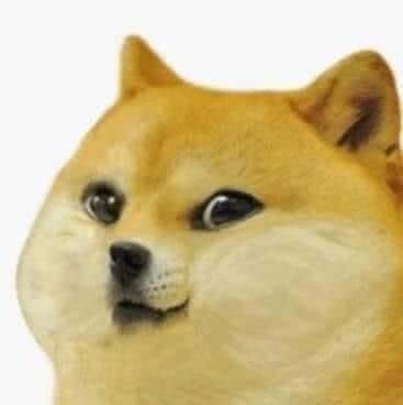 Doge Shiba Inu Meme