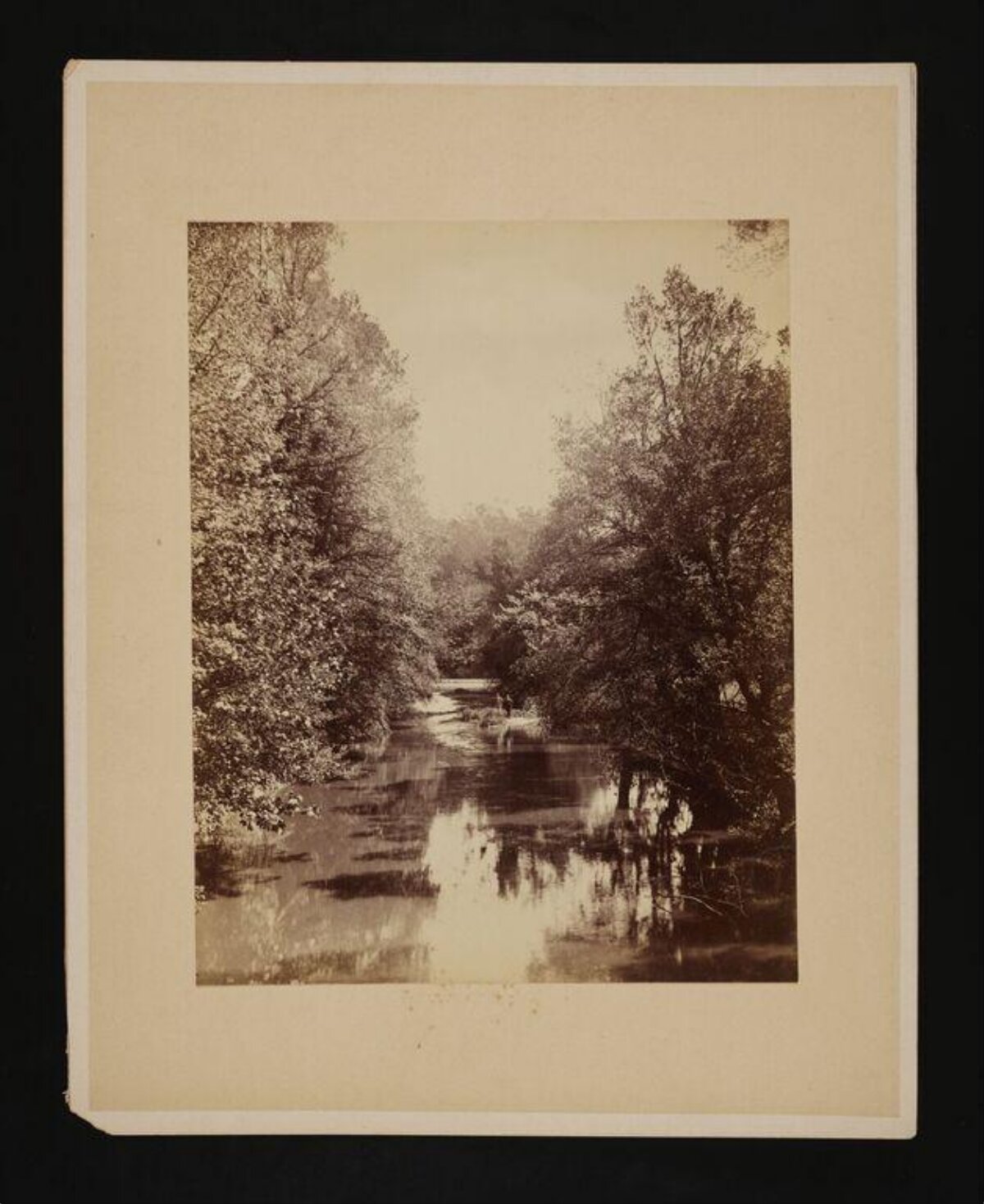 Vintage Forest River View